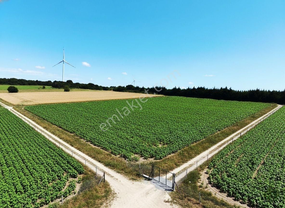 Çatalca İnceğiz 12.964 M² / Yol, Elektrik, Su, D.gaz Altyapısı - Görsel 12