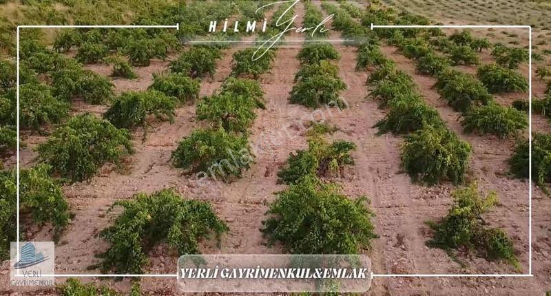Yerli Gayrimenkul'den Satılık Üzüm Bağı - Görsel 18