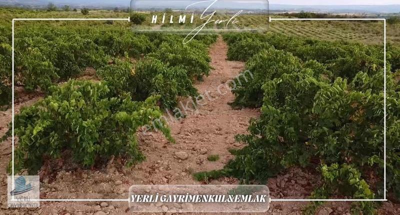 Yerli Gayrimenkul'den Satılık Üzüm Bağı - Görsel 14