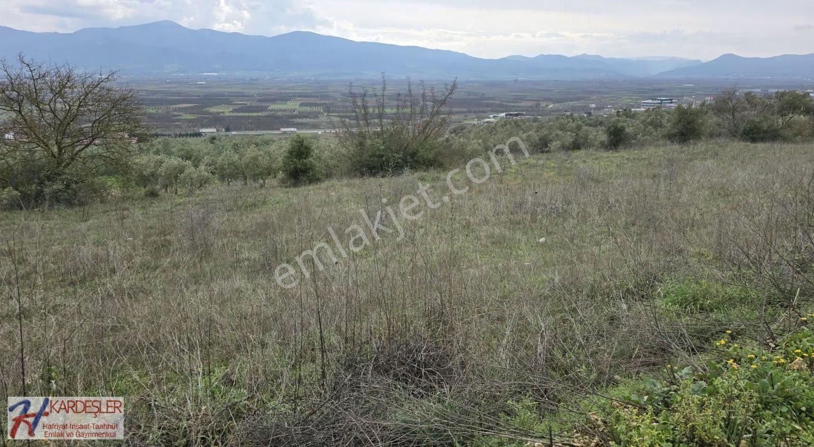Sakarya P.ova Oruçlu Mah.muhteşem Manazaralı Konteynerlik Arazi - Görsel 23