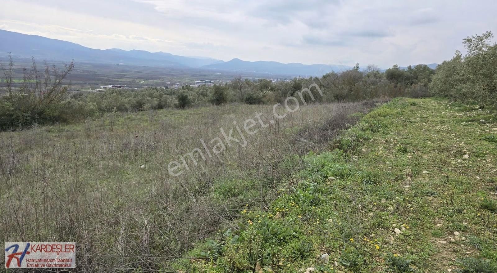 Sakarya P.ova Oruçlu Mah.muhteşem Manazaralı Konteynerlik Arazi - Görsel 2