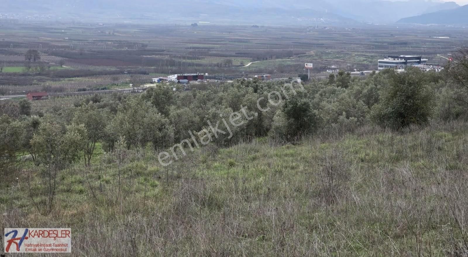 Sakarya P.ova Oruçlu Mah.muhteşem Manazaralı Konteynerlik Arazi - Görsel 29