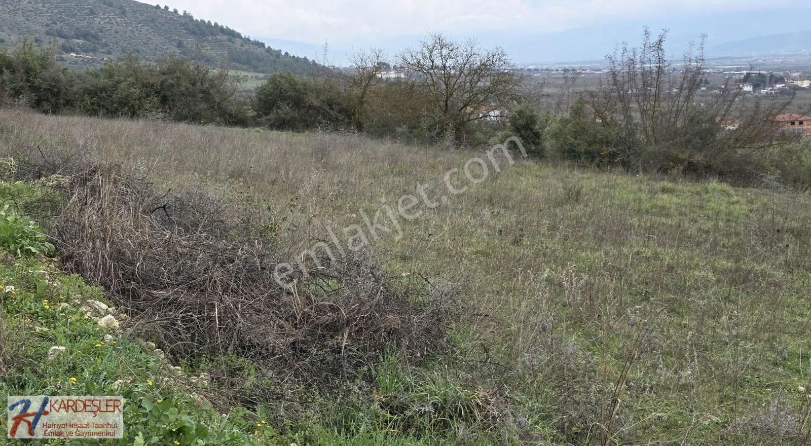 Sakarya P.ova Oruçlu Mah.muhteşem Manazaralı Konteynerlik Arazi - Görsel 5