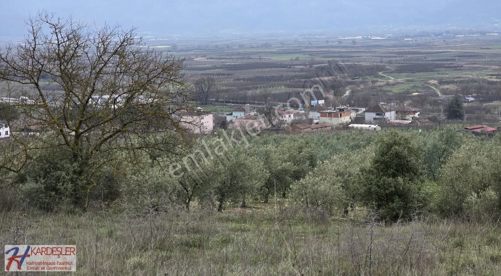 Sakarya P.ova Oruçlu Mah.muhteşem Manazaralı Konteynerlik Arazi - Görsel 6