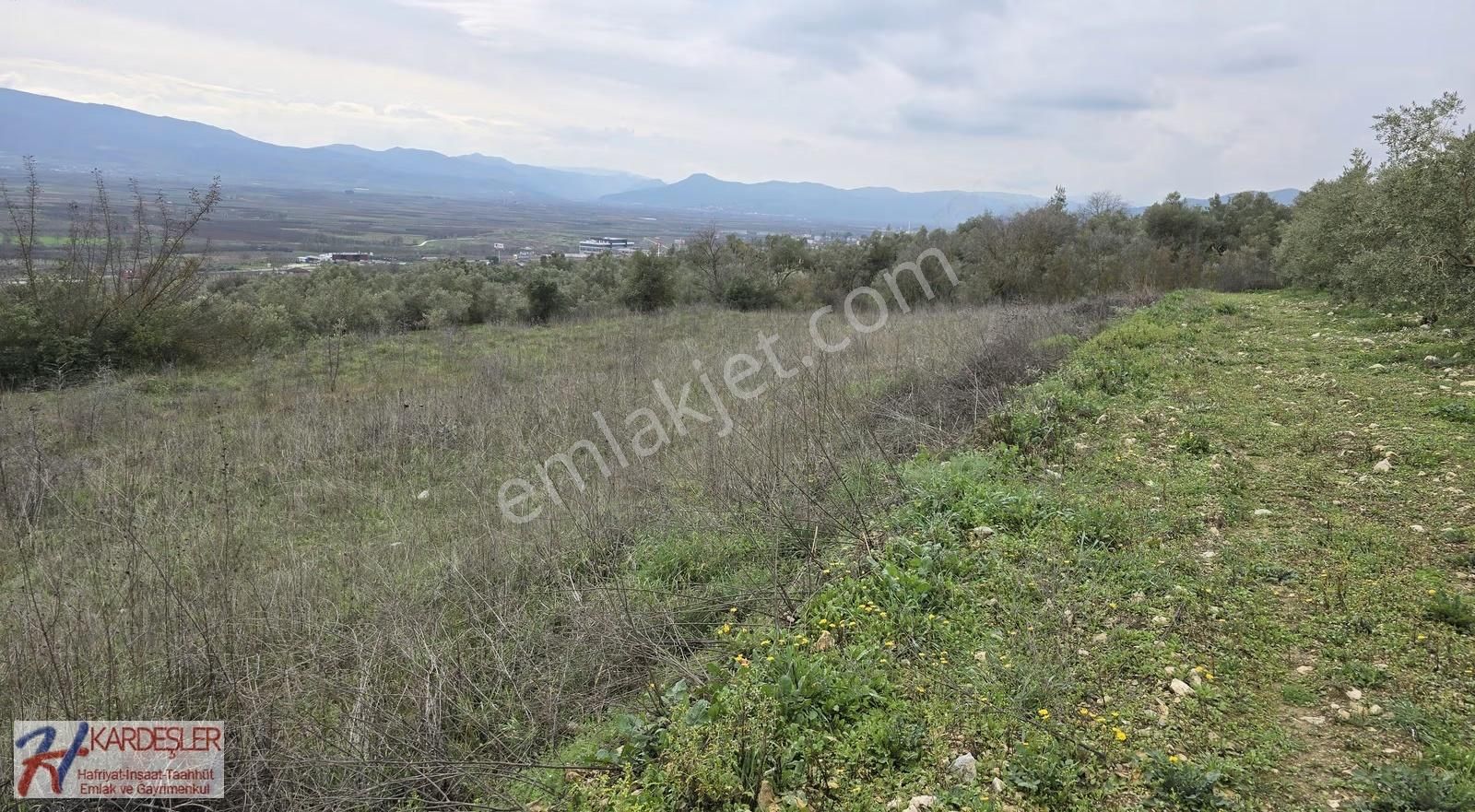 Sakarya P.ova Oruçlu Mah.muhteşem Manazaralı Konteynerlik Arazi - Görsel 21