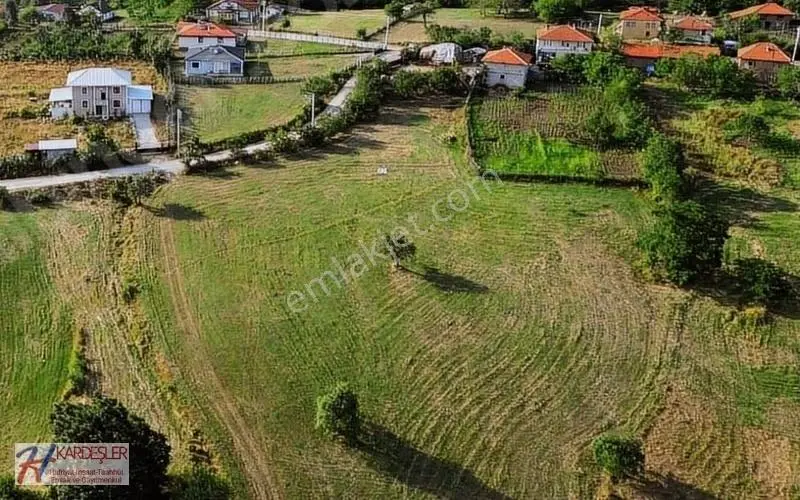Sakarya Pamukova Eskiyayla Mah. Ormana Nazır %40 İmarlı Arsa