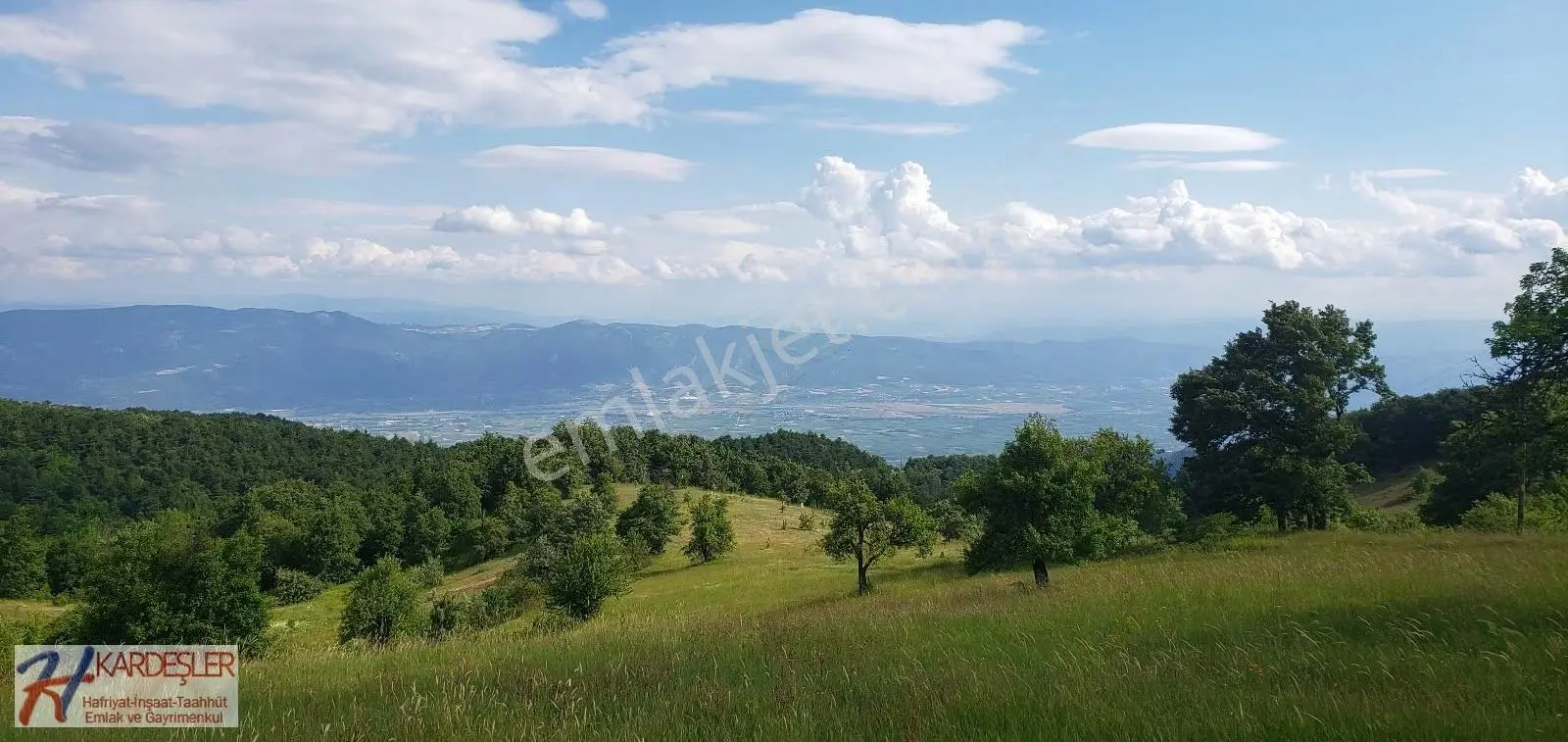 Sakarya Pamukova Eskiyayla Mah. Ormana Nazır %40 İmarlı Arsa - Görsel 3