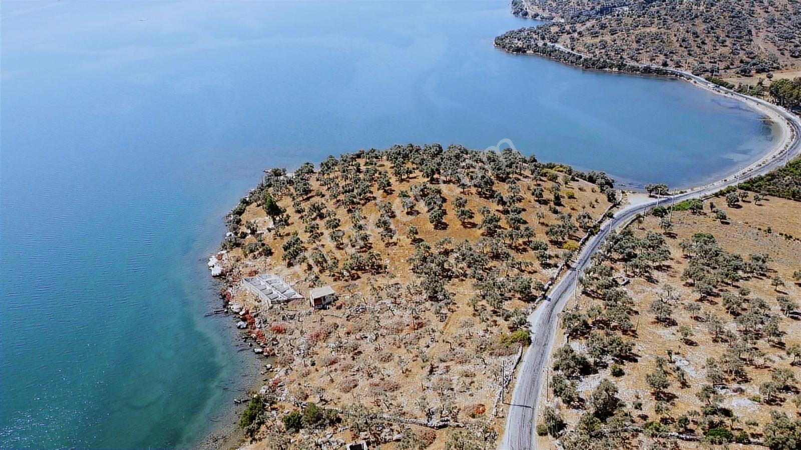 Kıyıkışlacık'ta Denize 300 Metre 100 M2 Deniz Manzara - Görsel 6