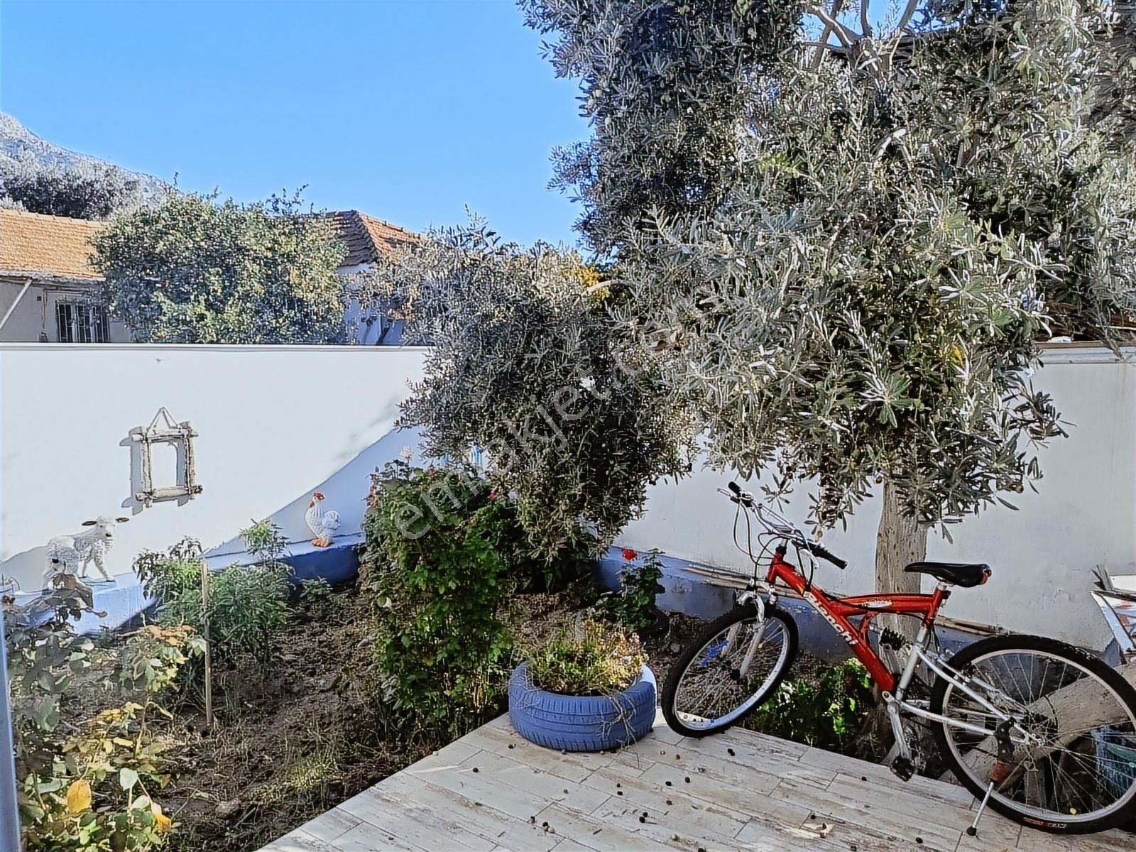 Güllübahçe Köyünde Satılık Müstakil Ev Priene Antik Kenti - Görsel 16