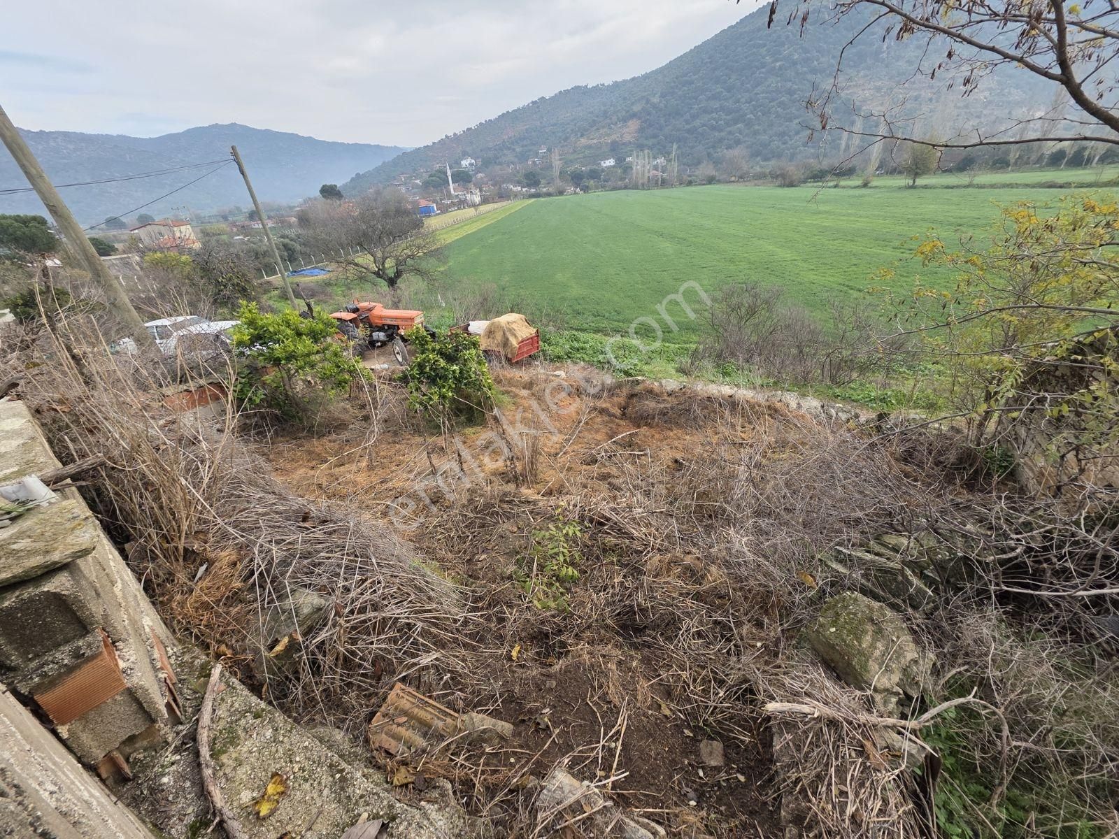 Söke Sayrakçı Köyünde 460 Metre Arsa İçinde Köy Evi - Görsel 6