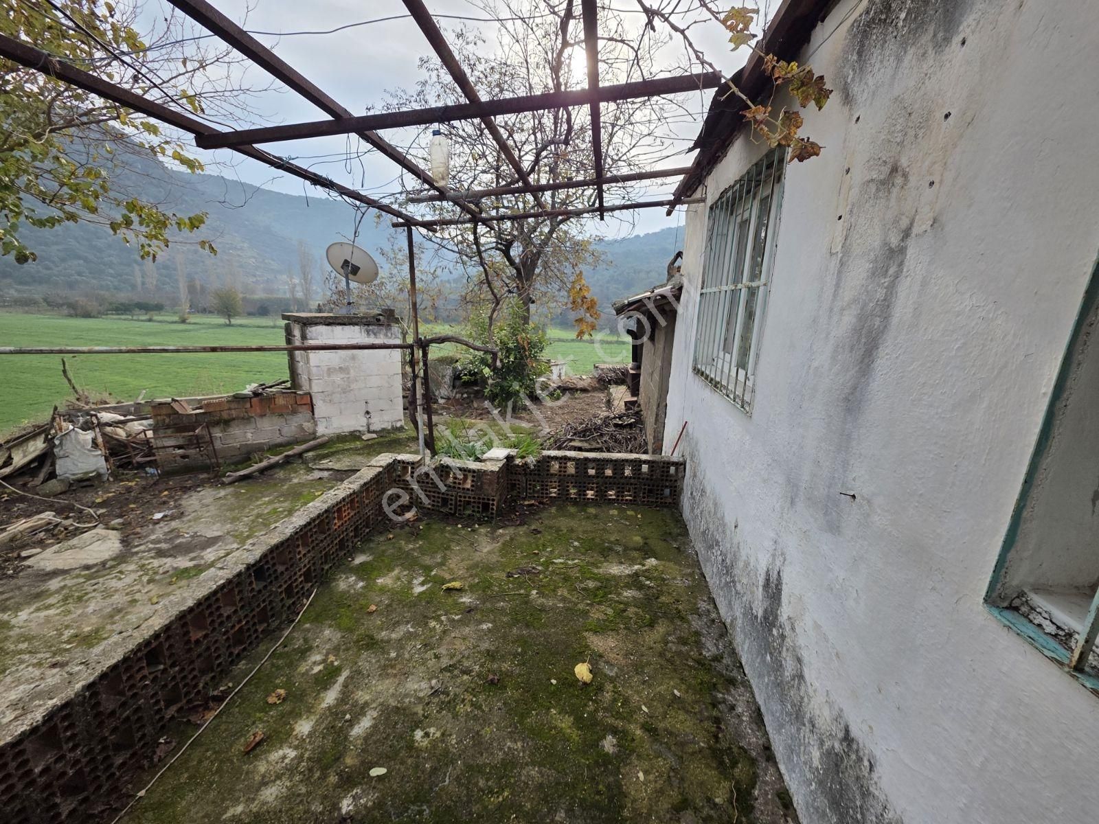 Söke Sayrakçı Köyünde 460 Metre Arsa İçinde Köy Evi - Görsel 9