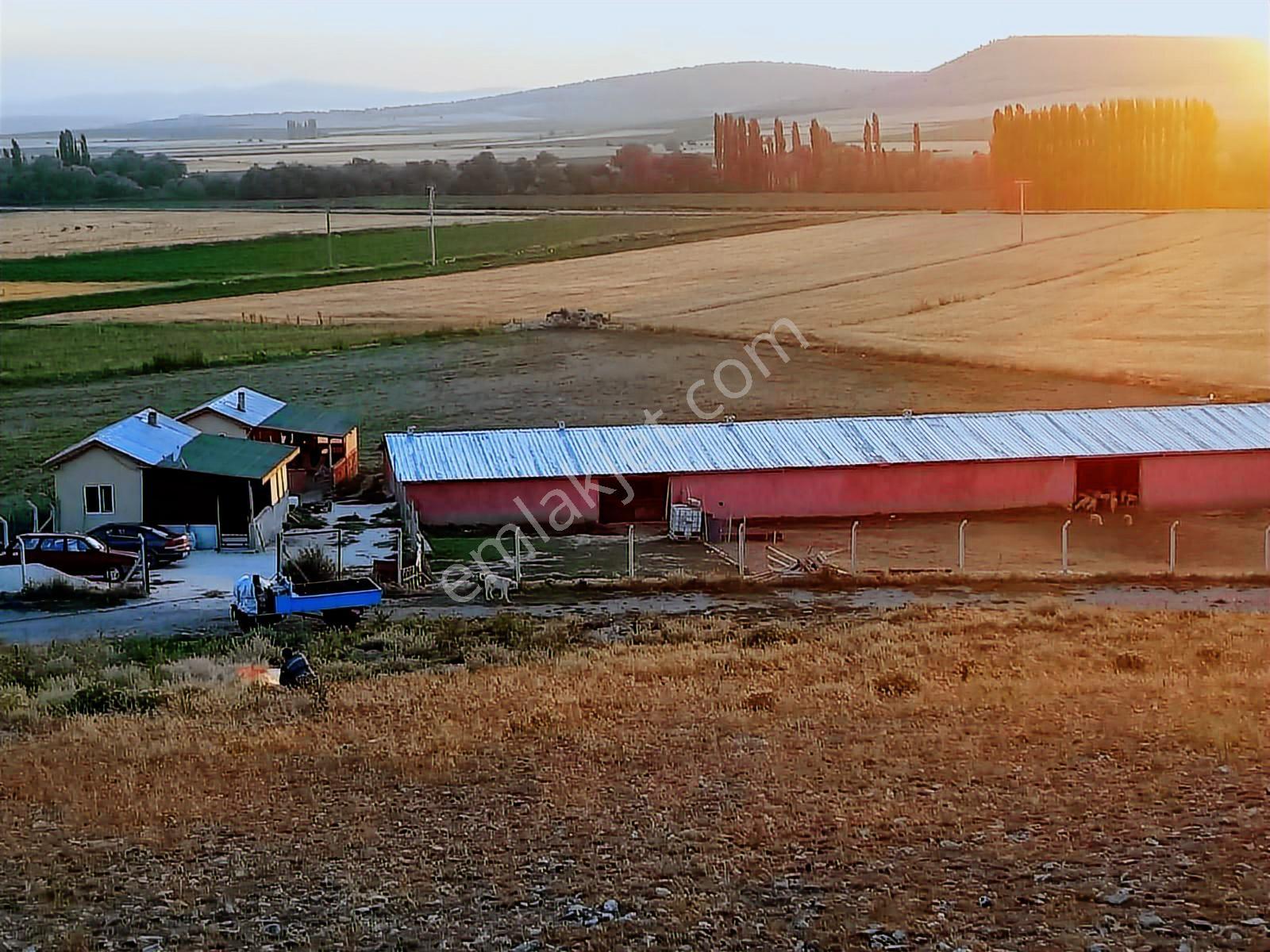 Seyitgazi Yazıdere Mahallesi Ruhsatlı Kurulu Düzen Hazır Çiftlik - Görsel 11
