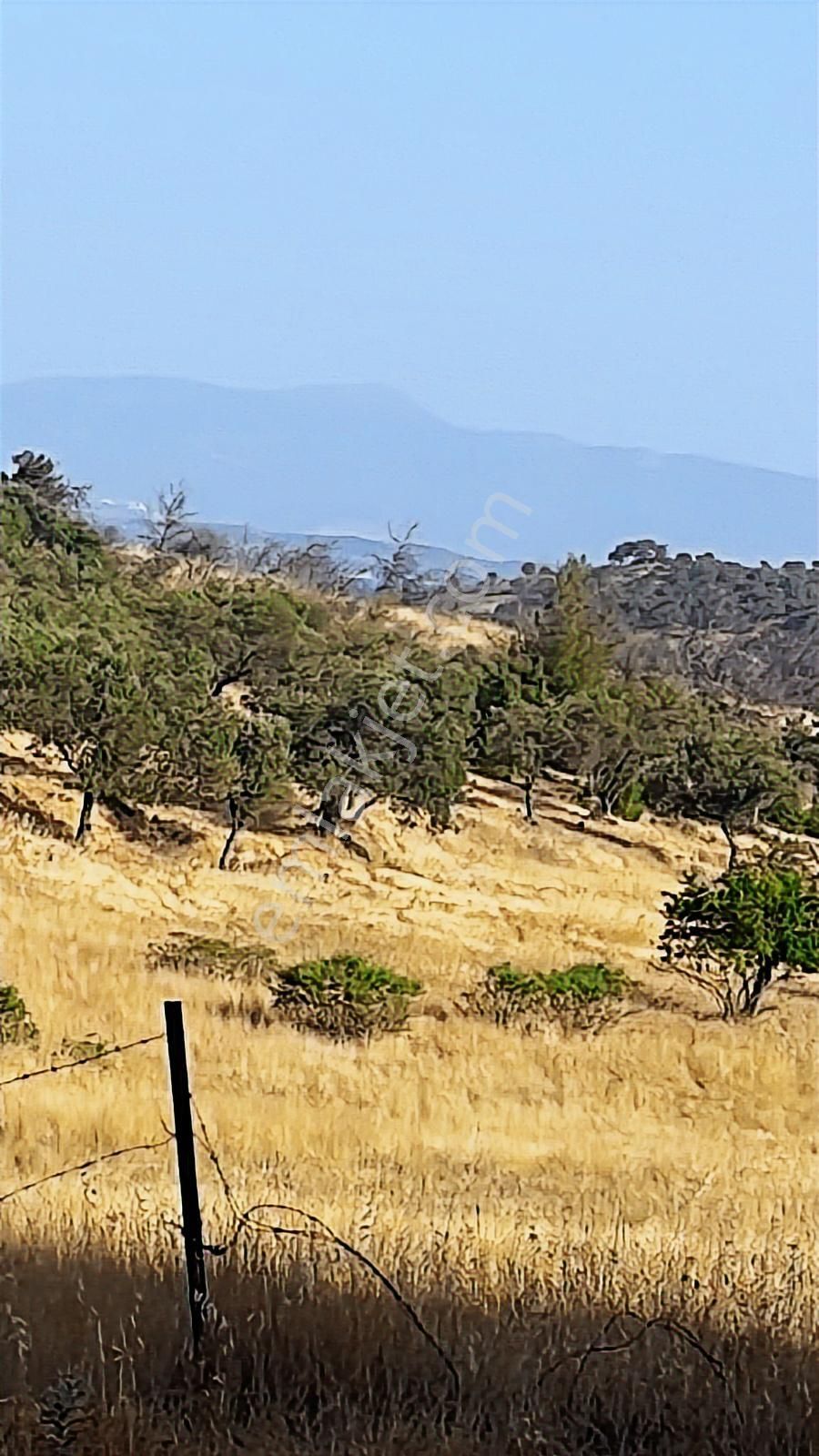 Adrasan'da Orman İçerisinde Deniz Manzaralı Yaşam - Görsel 5