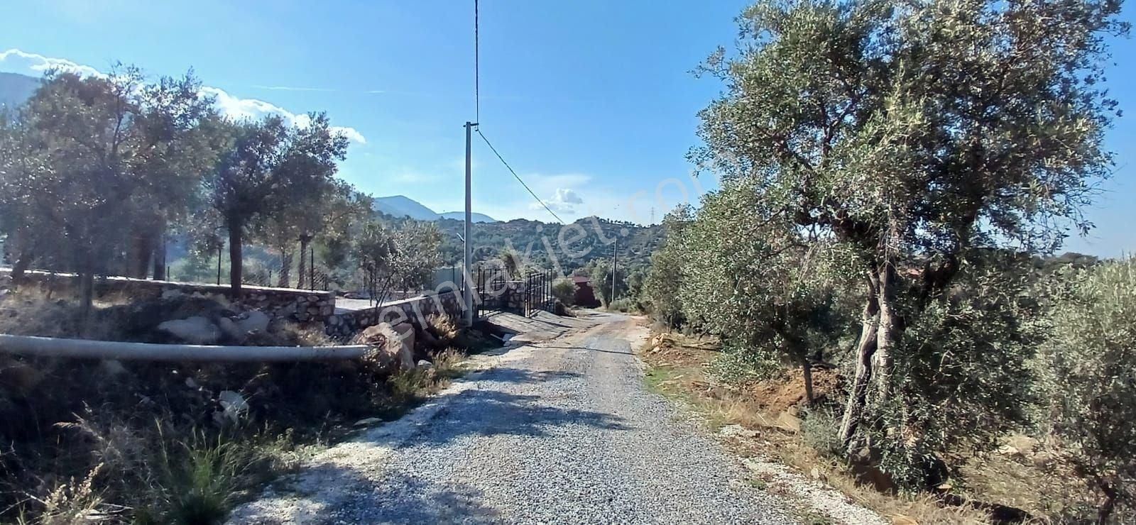 Milas Çiftlikte 6.130 M² Yola Cepheli Köşe Parsel - Görsel 15