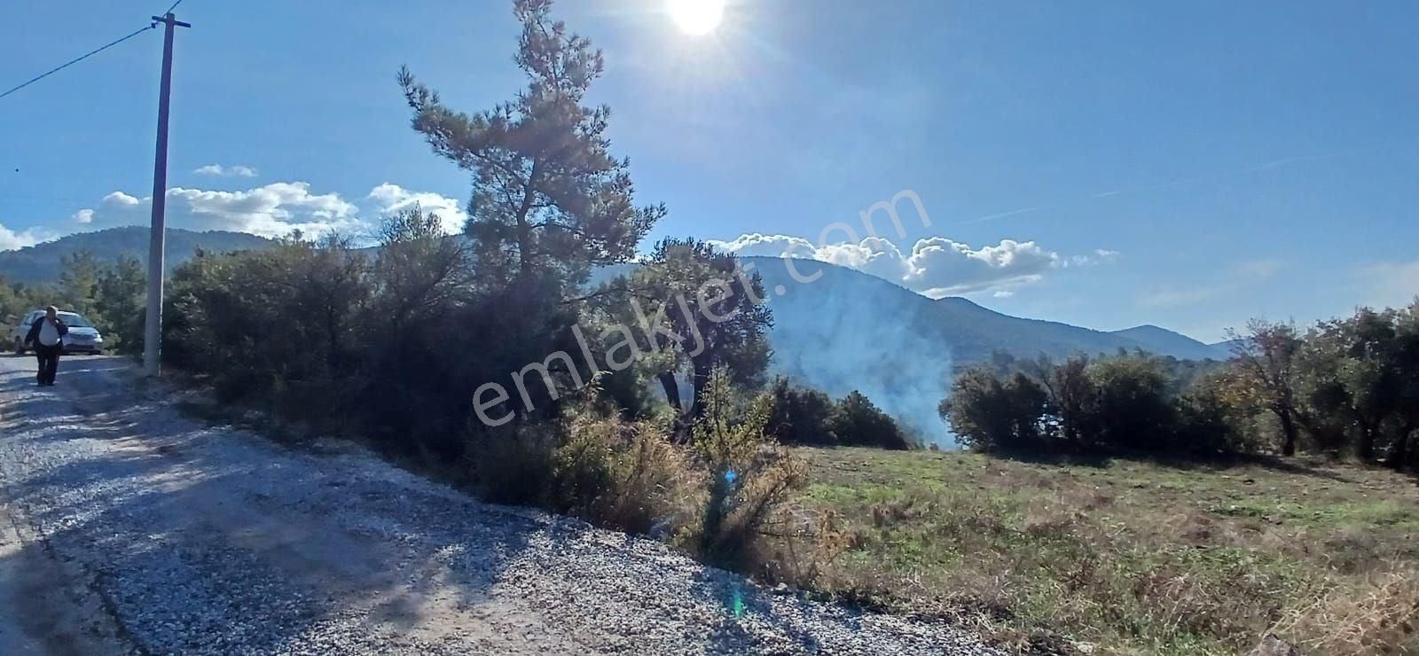 Milas Çiftlikte 6.130 M² Yola Cepheli Köşe Parsel - Görsel 29