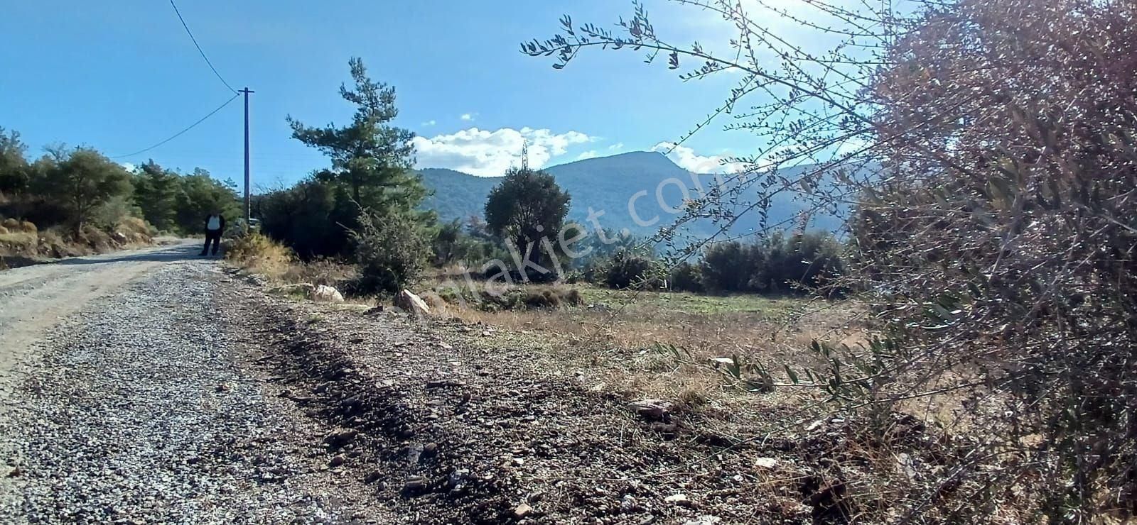 Milas Çiftlikte 6.130 M² Yola Cepheli Köşe Parsel - Görsel 6