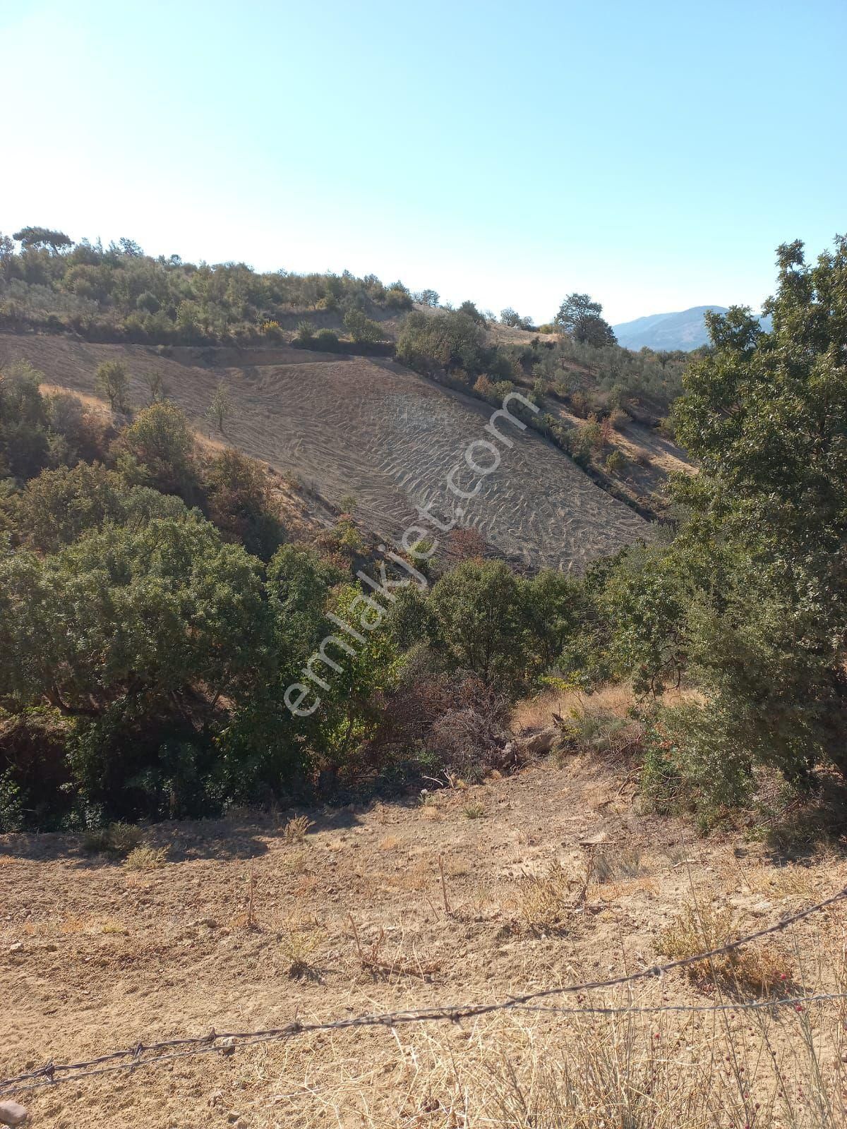 Kelepir Tarlamiz 2327 M2 Müstakil Tapulu Tarlamız Yeni Sahibini Bekliyor - Görsel 3