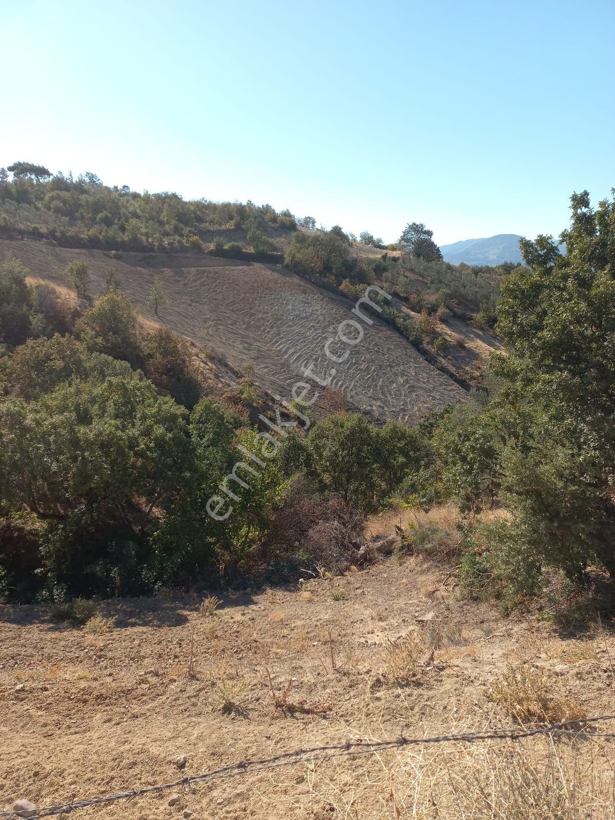 Kelepir Tarlamiz 2327 M2 Müstakil Tapulu Tarlamız Yeni Sahibini Bekliyor