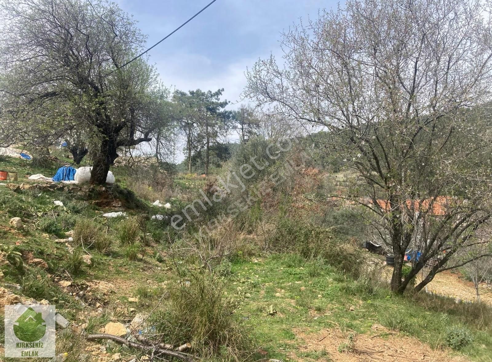 Muğla Menteşe Kuyucakta Doğa İçinde Denize Yakın Satılık Arsa - Görsel 5