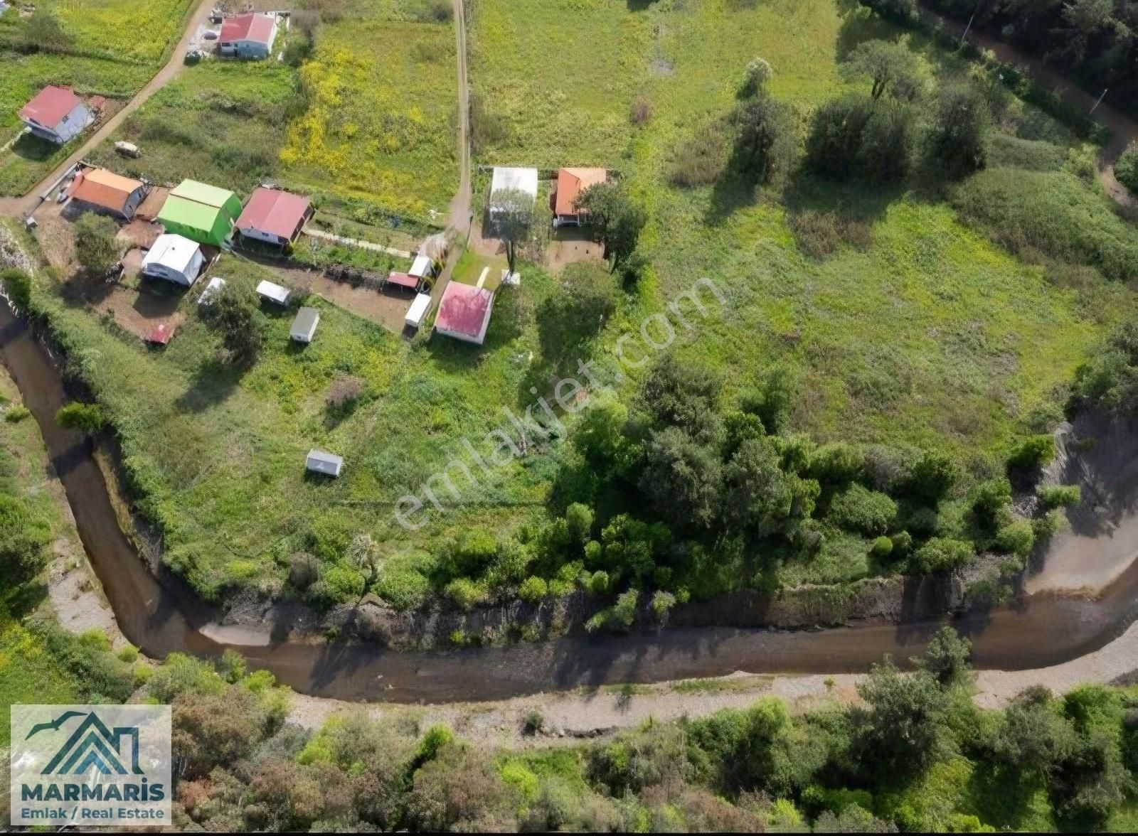 Tarlamız Hisseli Olup Rızai Taksim Yapılmıştır.