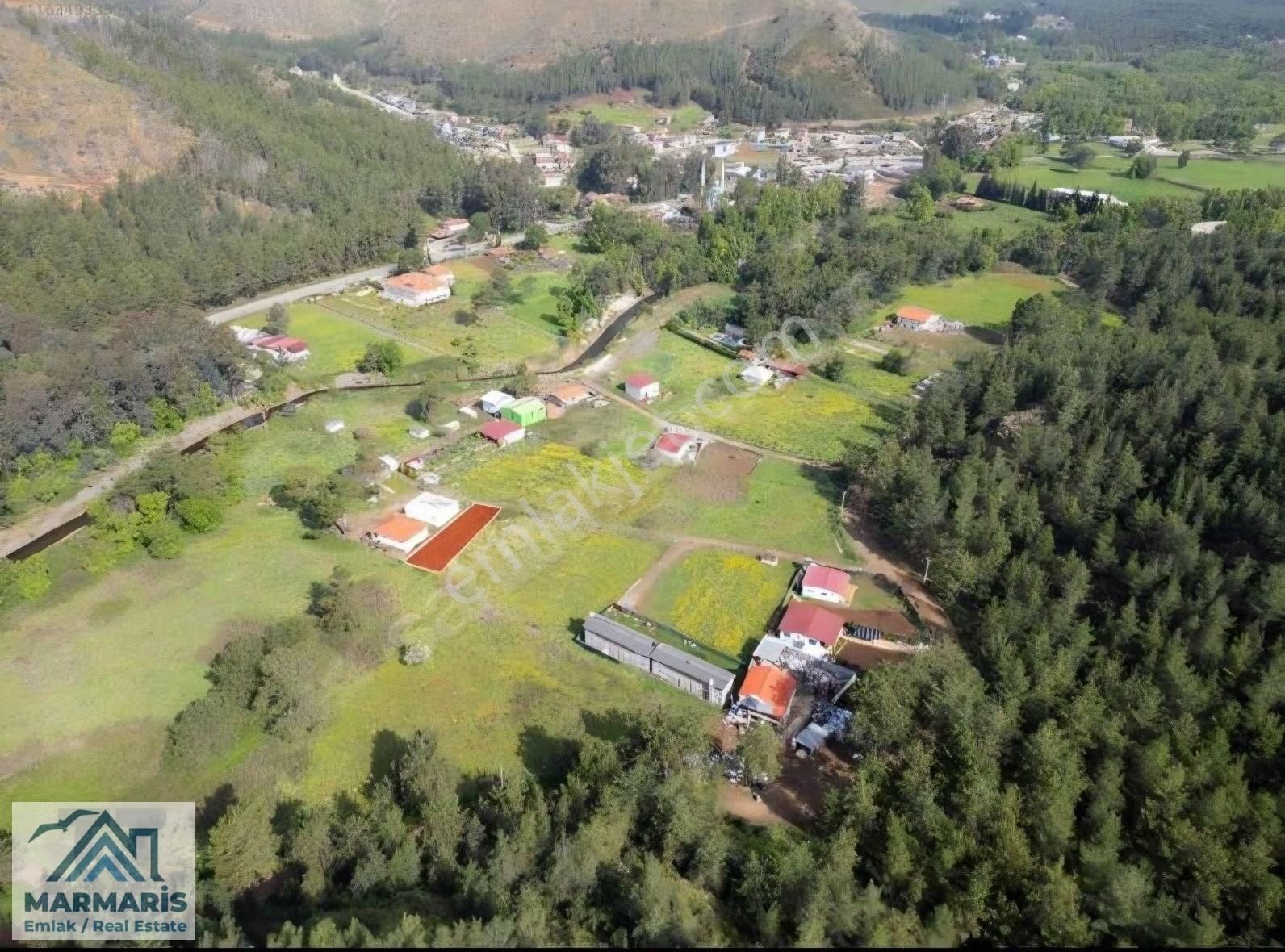 Tarlamız Hisseli Olup Rızai Taksim Yapılmıştır. - Görsel 2