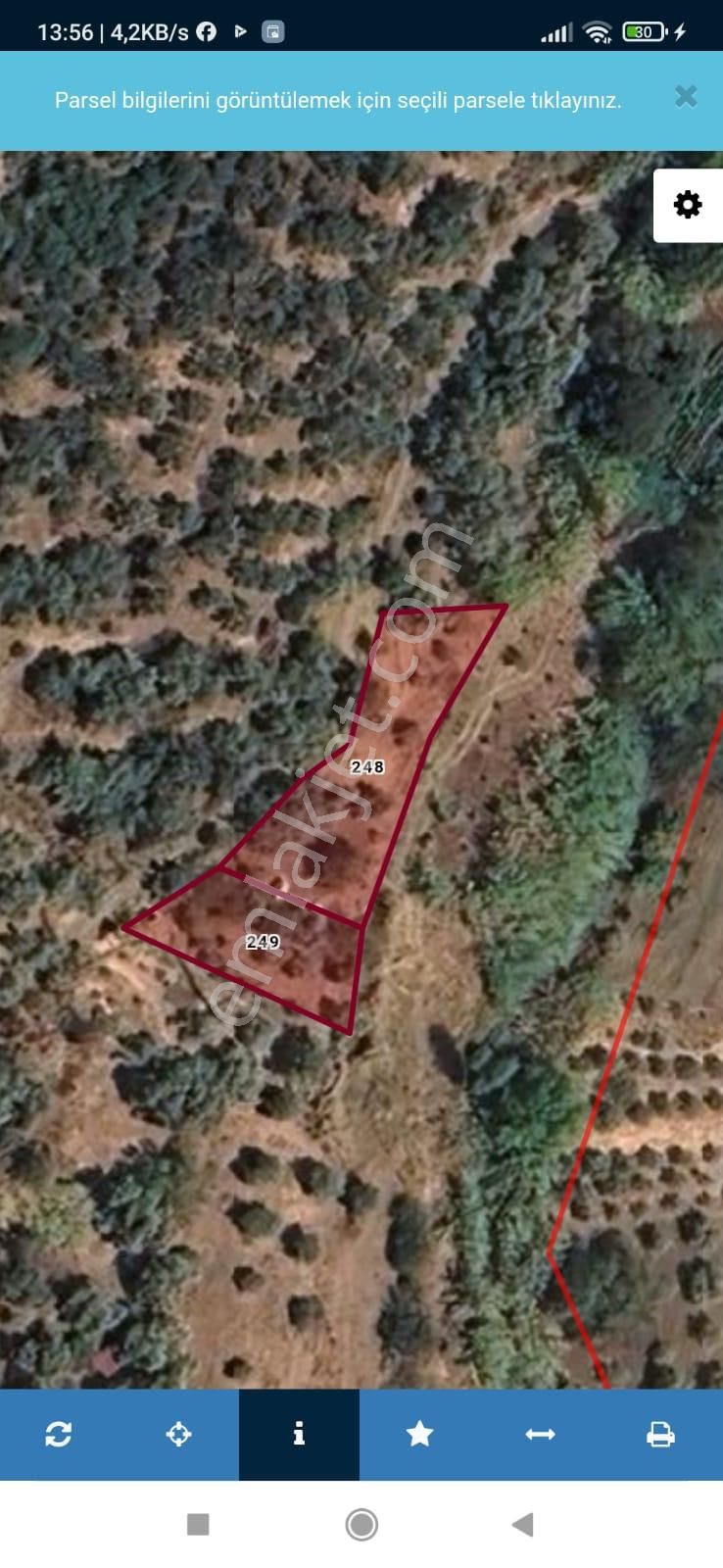 Ödemiş Bülbüller Köyü Yanyana 2 Parsel Fırsat-bağbahçe - Görsel 9