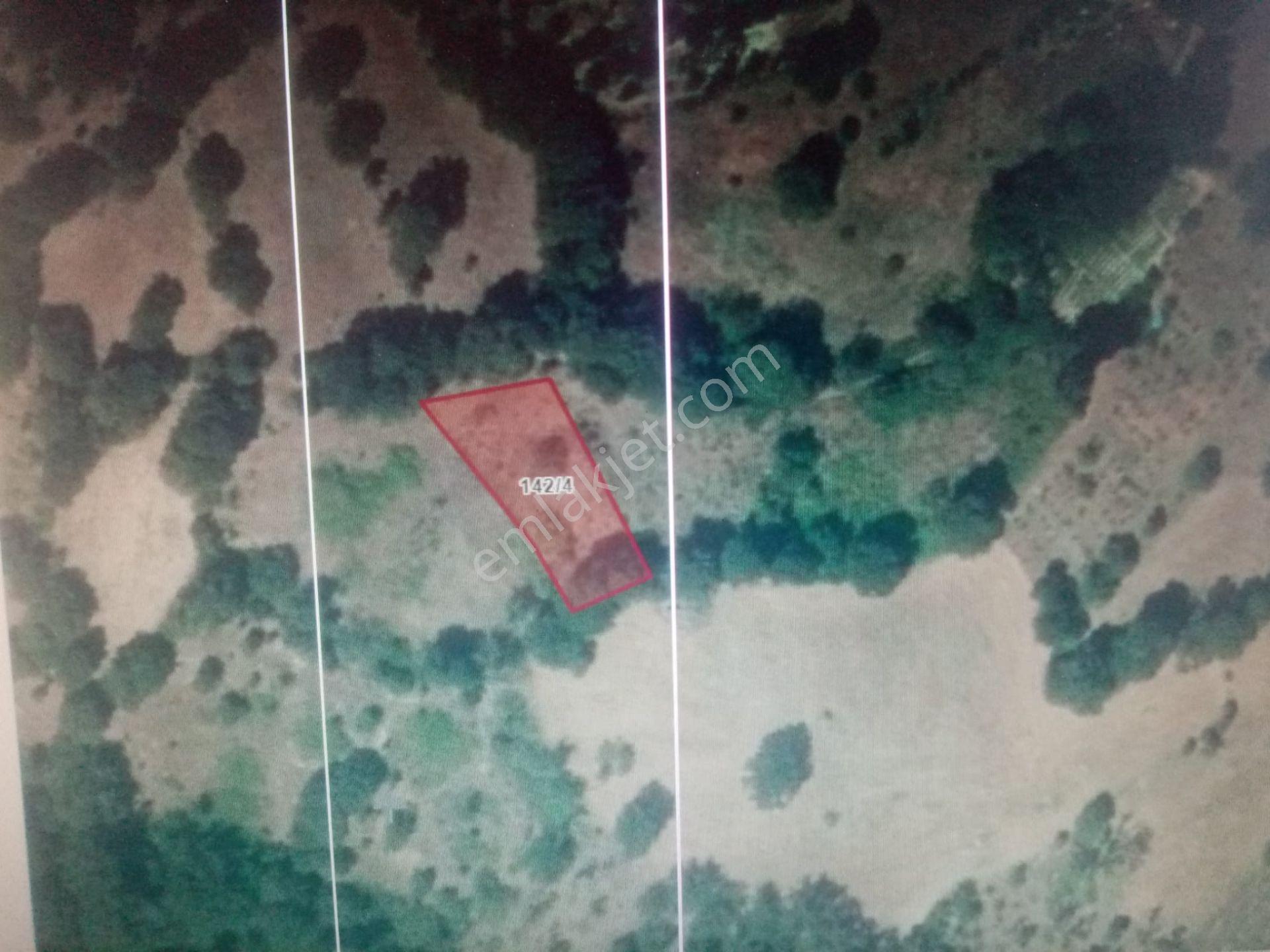 Balıkesir Dursunbey Şabanlar Mah.demirdağ Emlaktan Satılık Tarla.