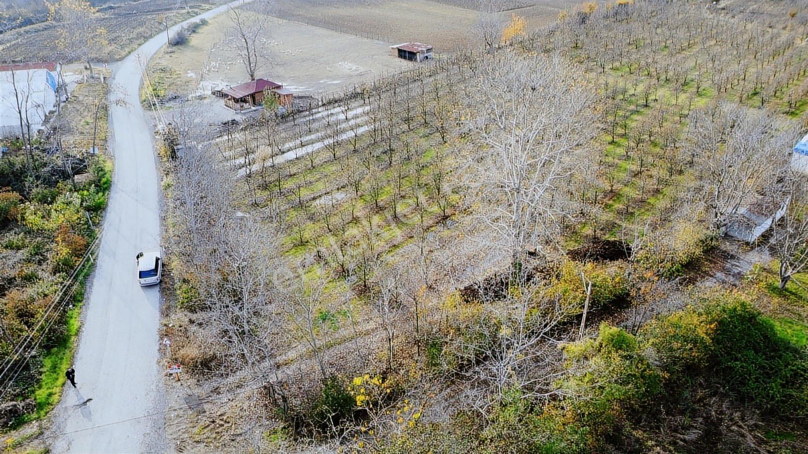 Atakum Devgross Mevkii İmar Sınırında Satılık 9640 M2 Tarla - Görsel 8