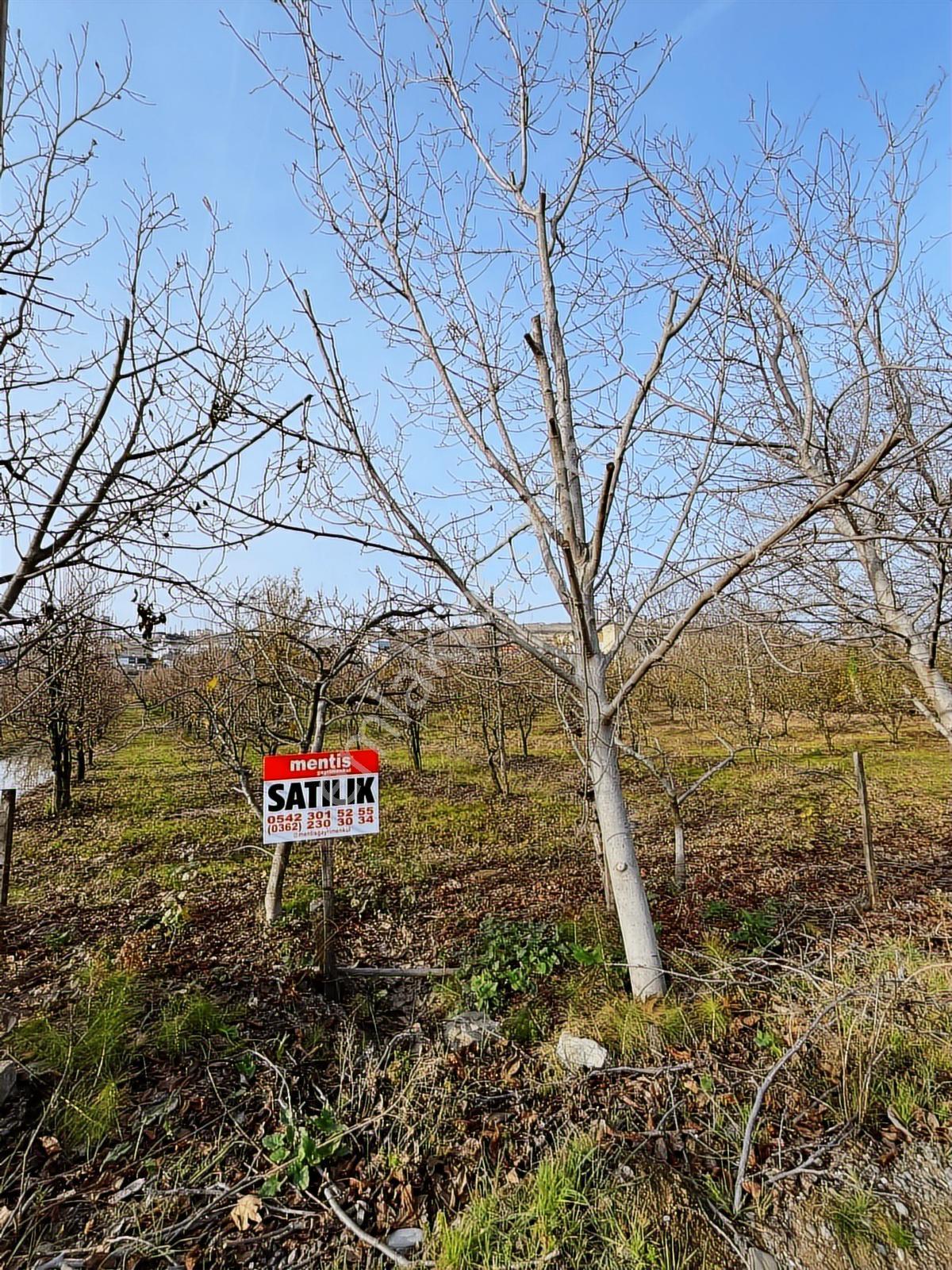 Atakum Devgross Mevkii İmar Sınırında Satılık 9640 M2 Tarla - Görsel 3