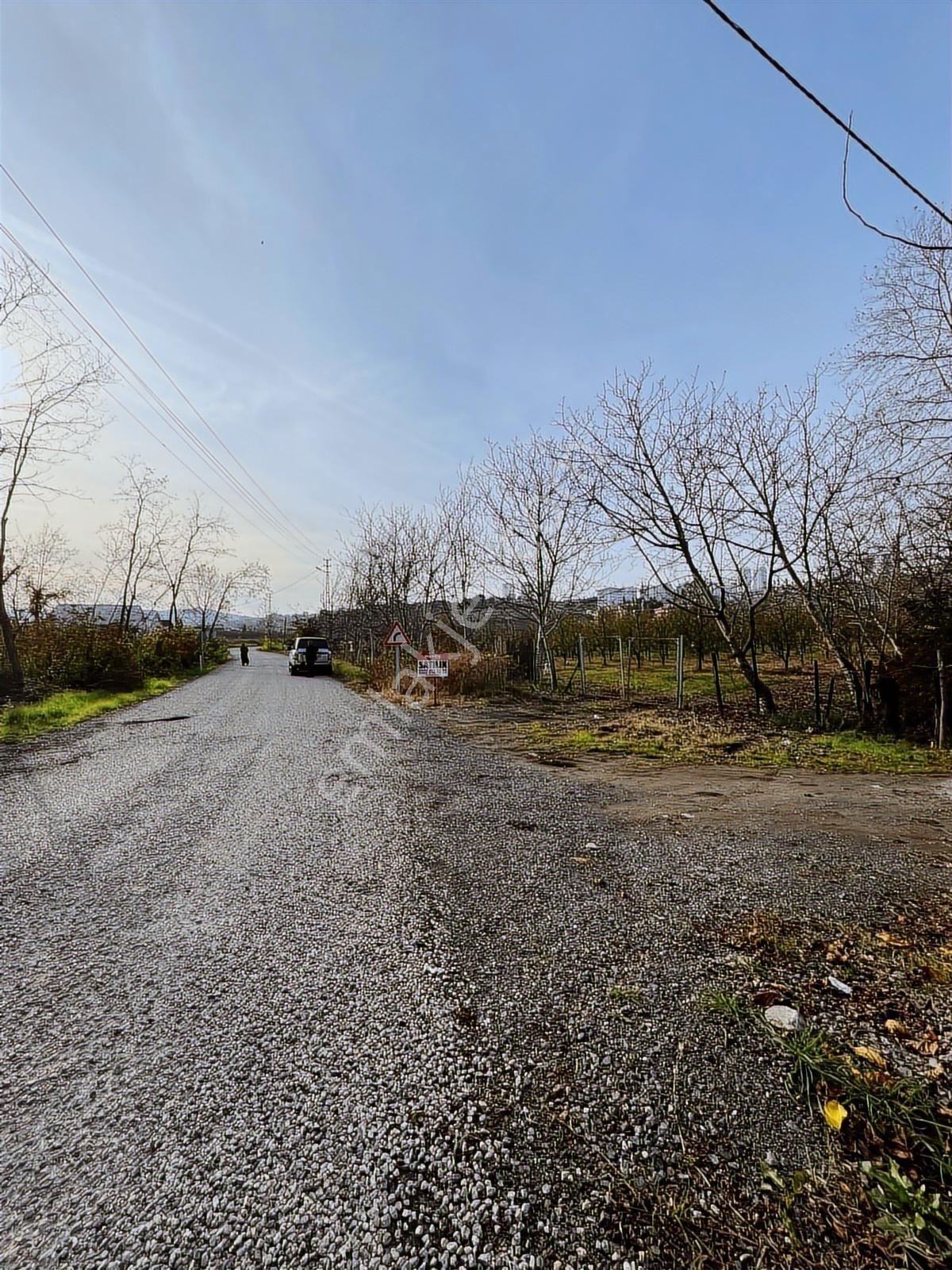 Atakum Devgross Mevkii İmar Sınırında Satılık 9640 M2 Tarla - Görsel 18