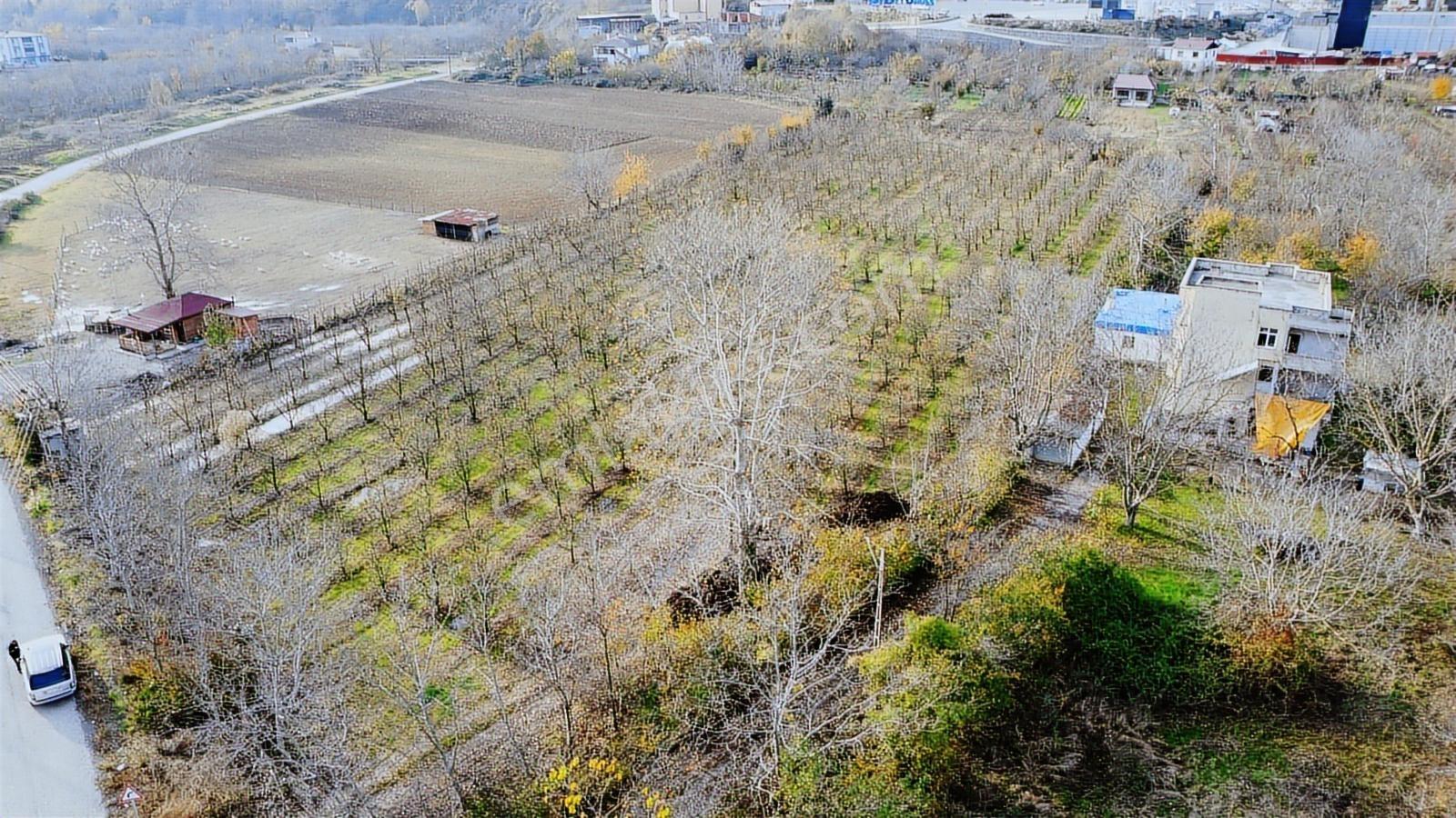 Atakum Devgross Mevkii İmar Sınırında Satılık 9640 M2 Tarla - Görsel 2