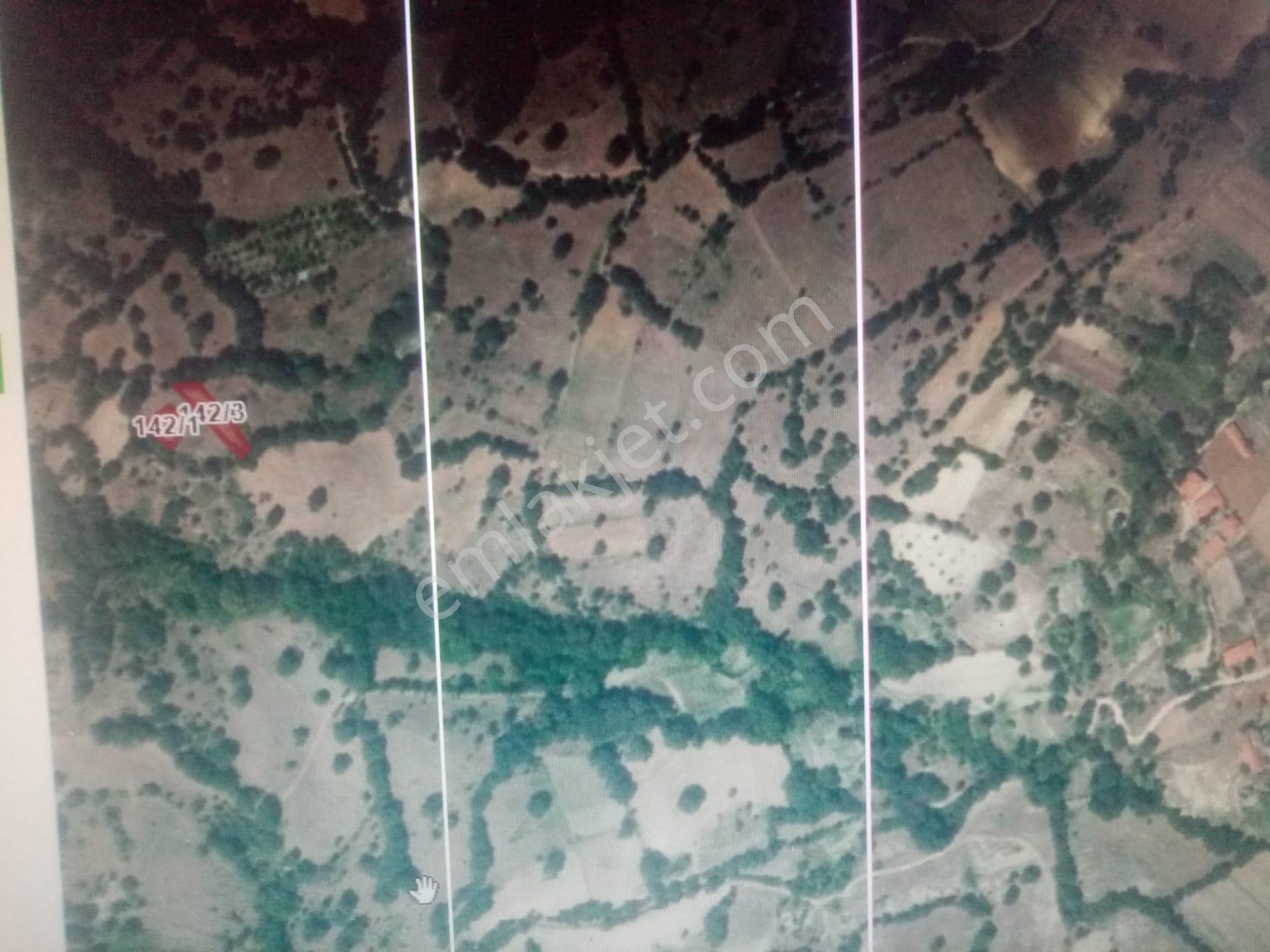 Balıkesir Dursunbey Şabanlar Mah.demirdağ Emlaktan Satılık Tarla. - Görsel 5