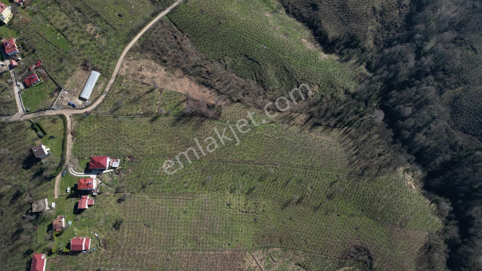 C21'den Delikkaya Övündük Mah. 18.600 M2 Yatırım Fırsatı - Görsel 4