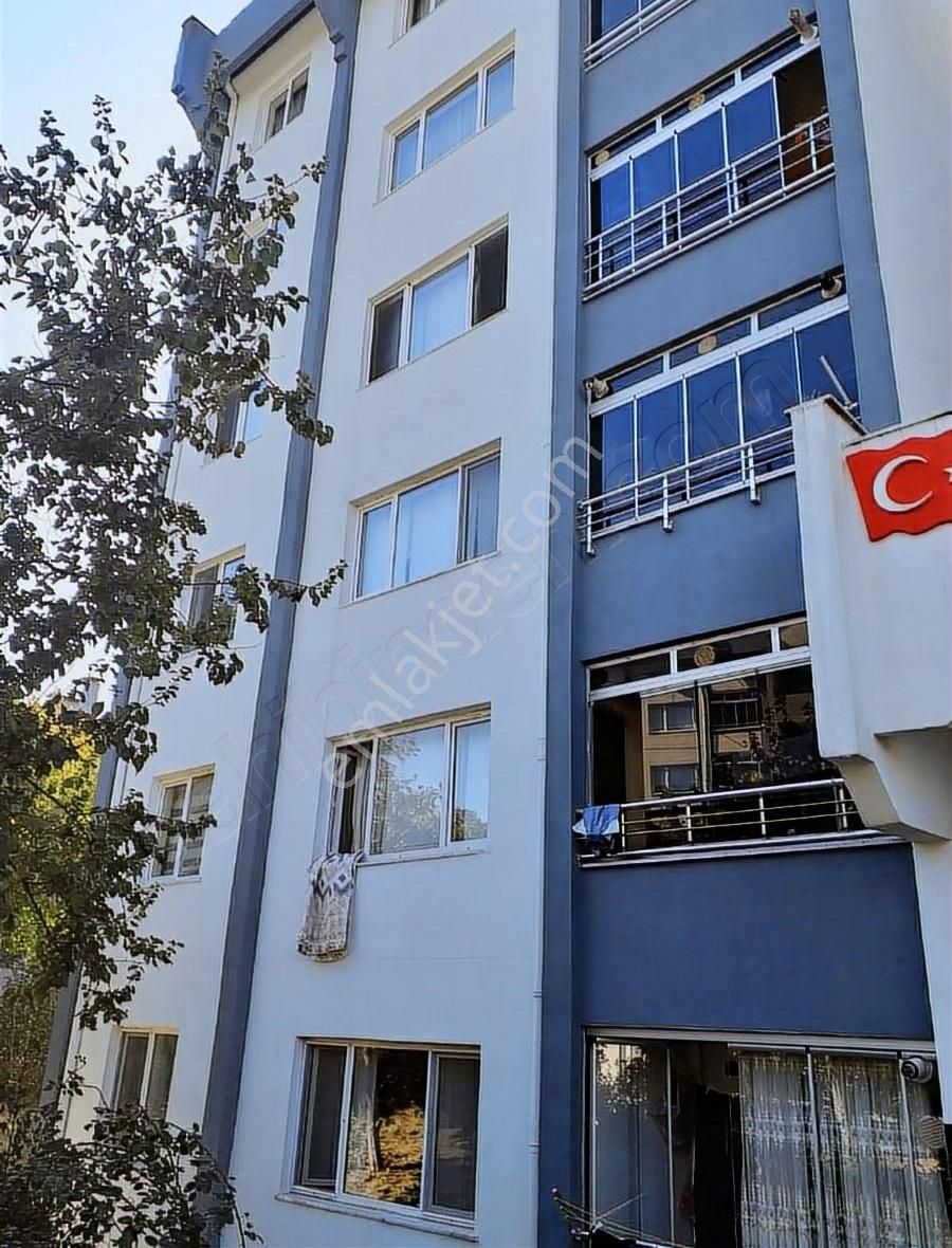 Masrafsız Temiz Daire - Görsel 3