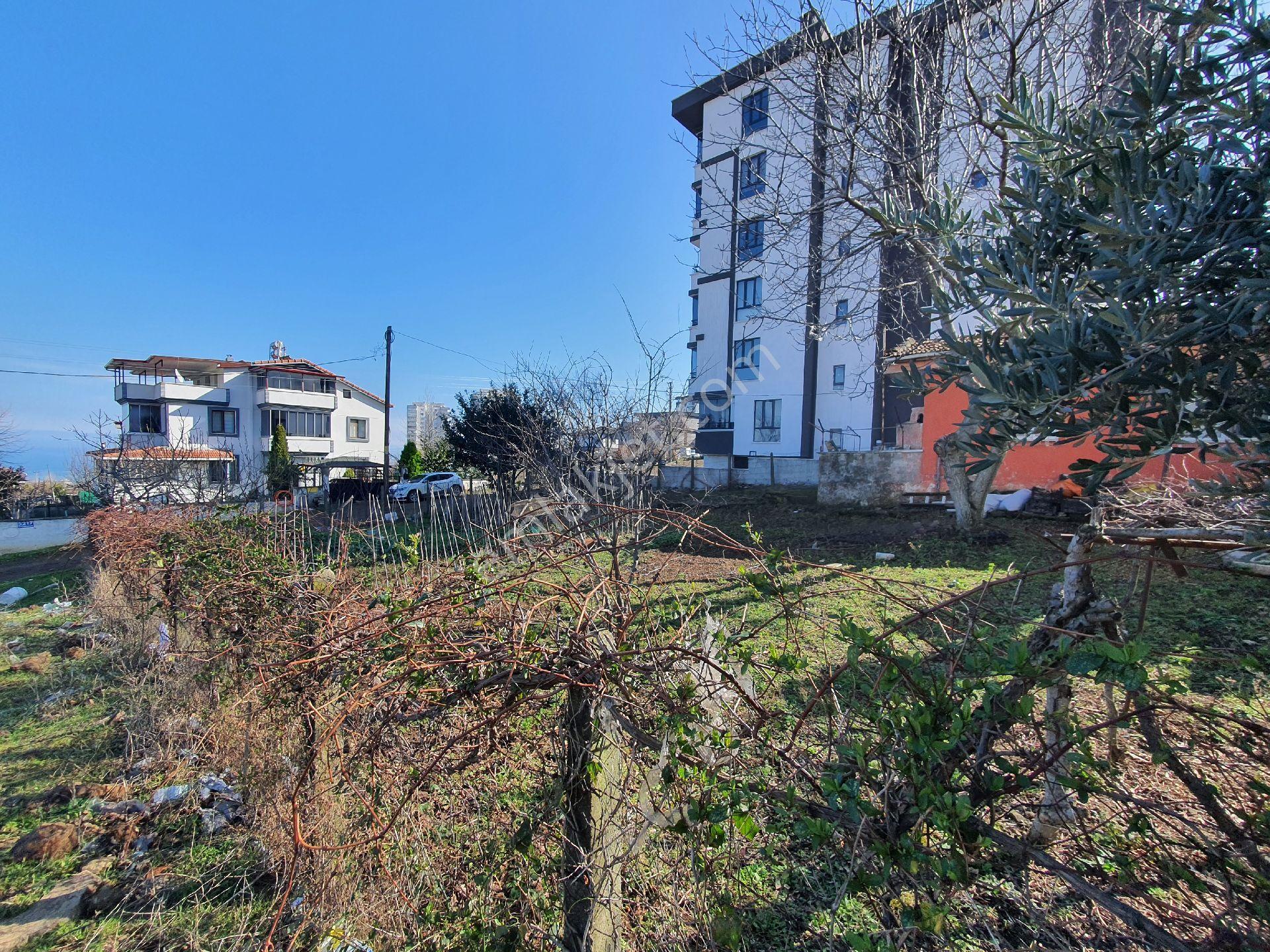 Yıldız Gayrimenkul'den Büyükoyumca'da Deniz Manzaralı, 5 Kat İmarlı, Satılık Arsa - Görsel 4
