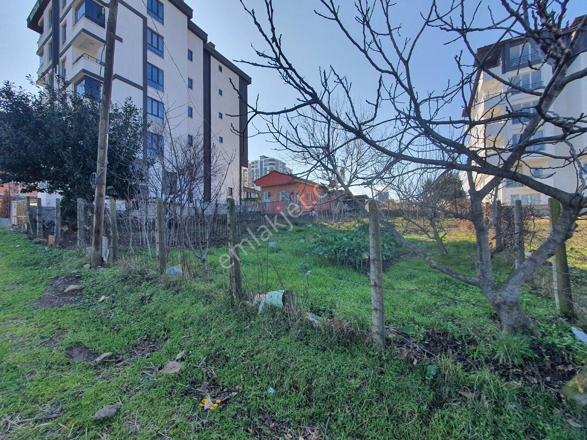 Yıldız Gayrimenkul'den Büyükoyumca'da Deniz Manzaralı, 5 Kat İmarlı, Satılık Arsa - Görsel 6