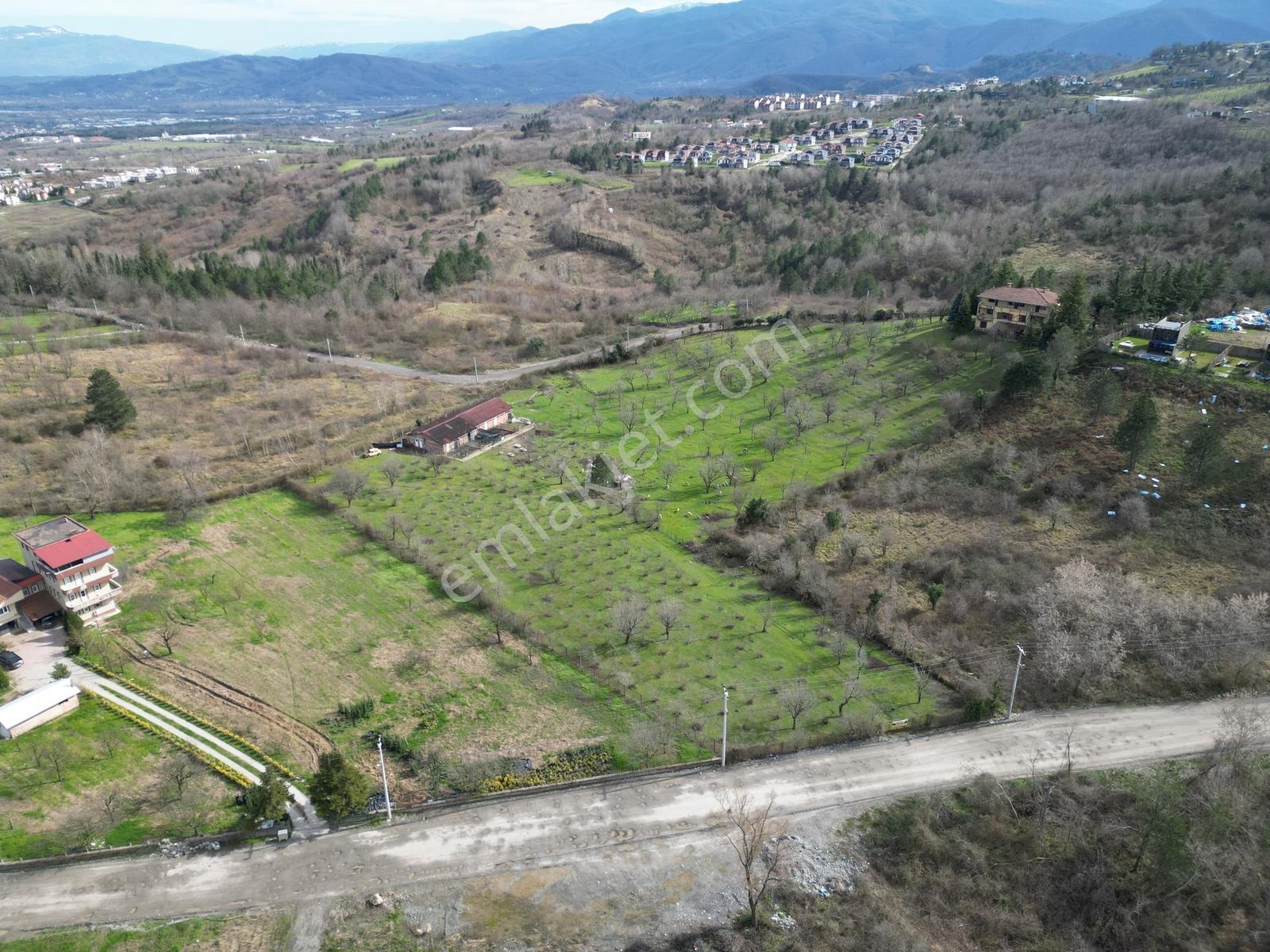 Sapanca'da Satılık 0.75 Emsal 3 Kat İmarlı Büyük Arsa - Görsel 6