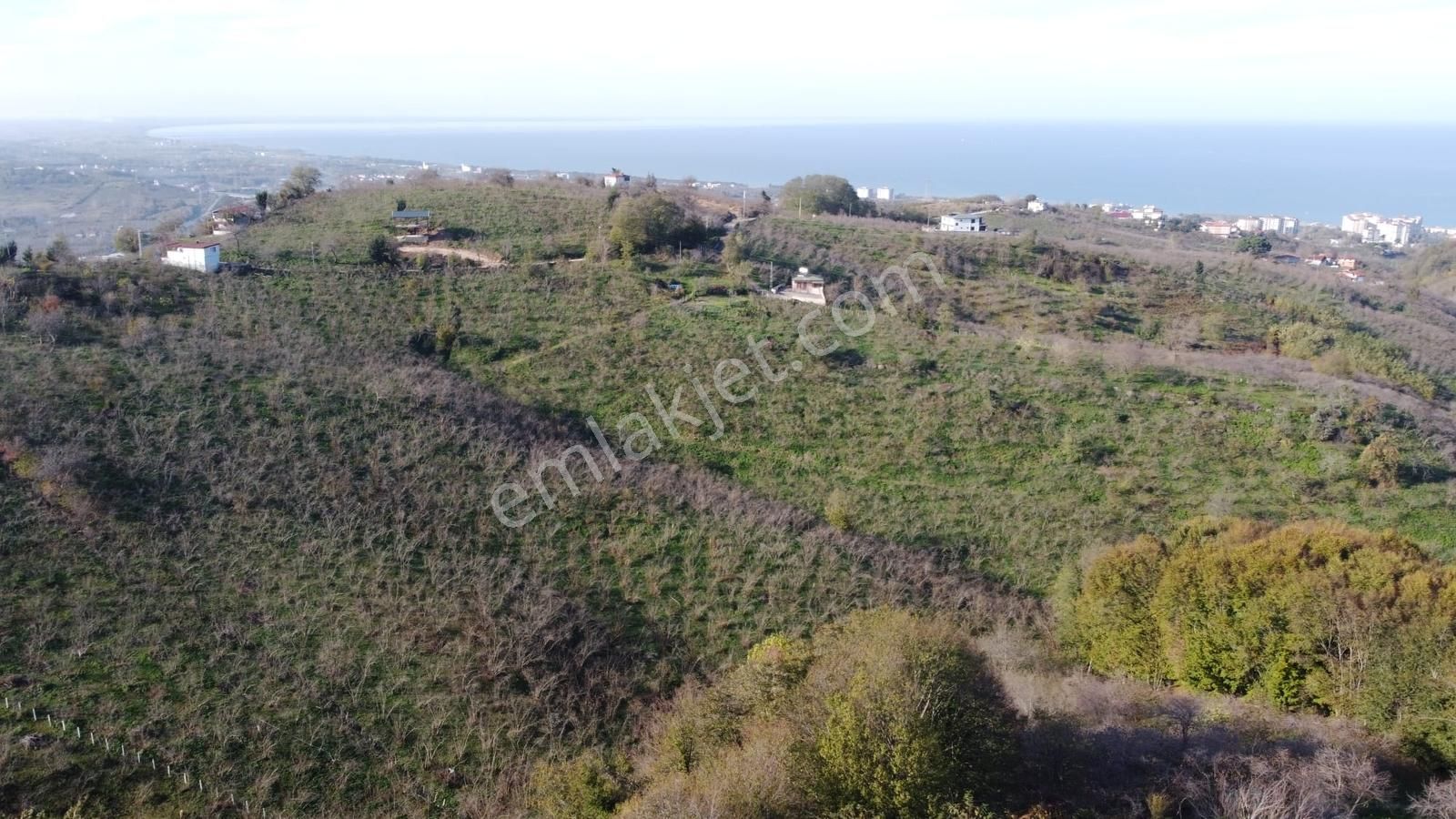 Arsa Alana Çeyrek Altın Hediye! Fırsat Global Resoldda!