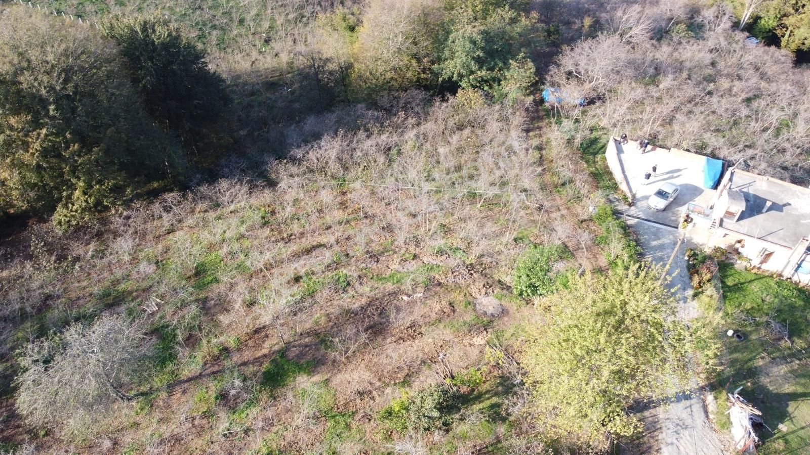 Arsa Alana Çeyrek Altın Hediye! Fırsat Global Resoldda! - Görsel 18