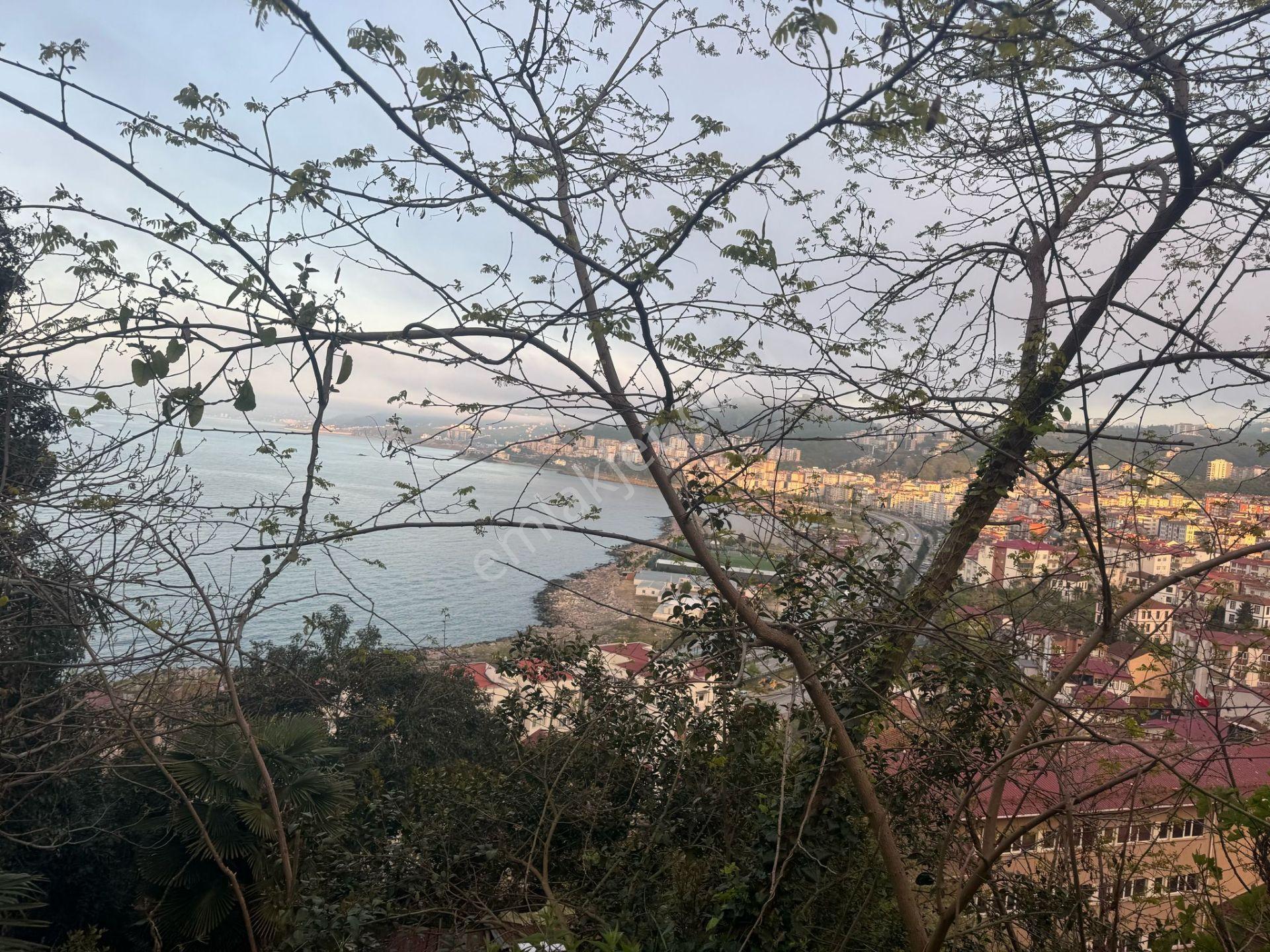 İnanç Emlaktan Giresun Kalede 541 M2 Satılık İmarlı Arsa Ve 3 Katlı Ev