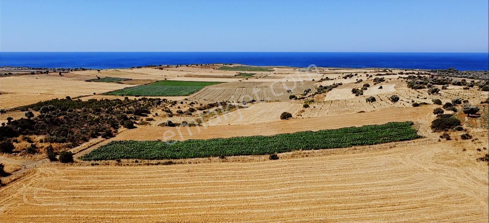 Türkiye'nin En Büyük Adasında Sizin De Yeriniz Olsun - Görsel 3