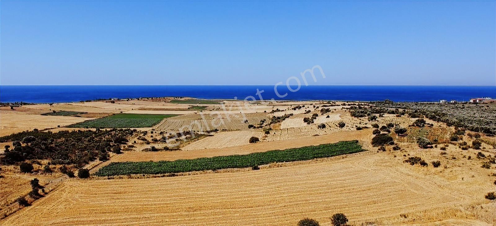 Türkiye'nin En Büyük Adasında Sizin De Yeriniz Olsun