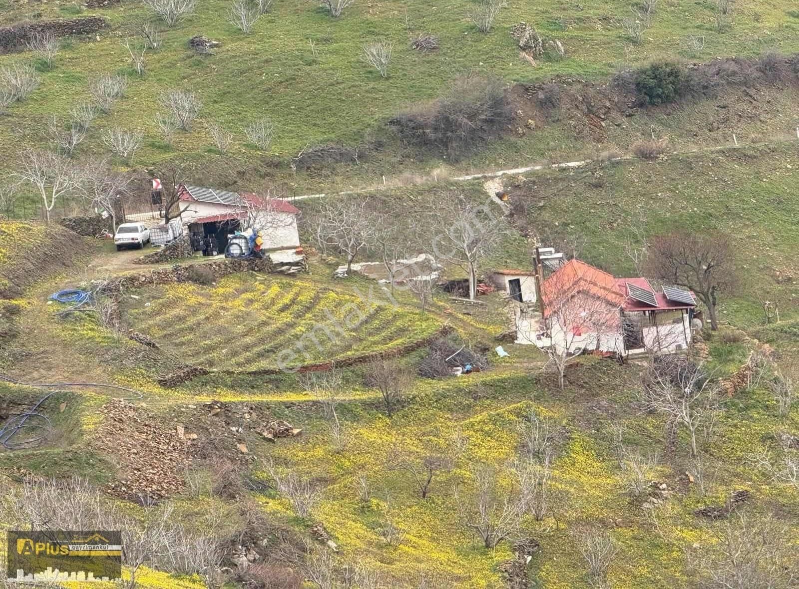 Tire Dağdere Köyü 23 Bin M2 Yola Sıfır Satılık İncir Bahçesi - Görsel 25