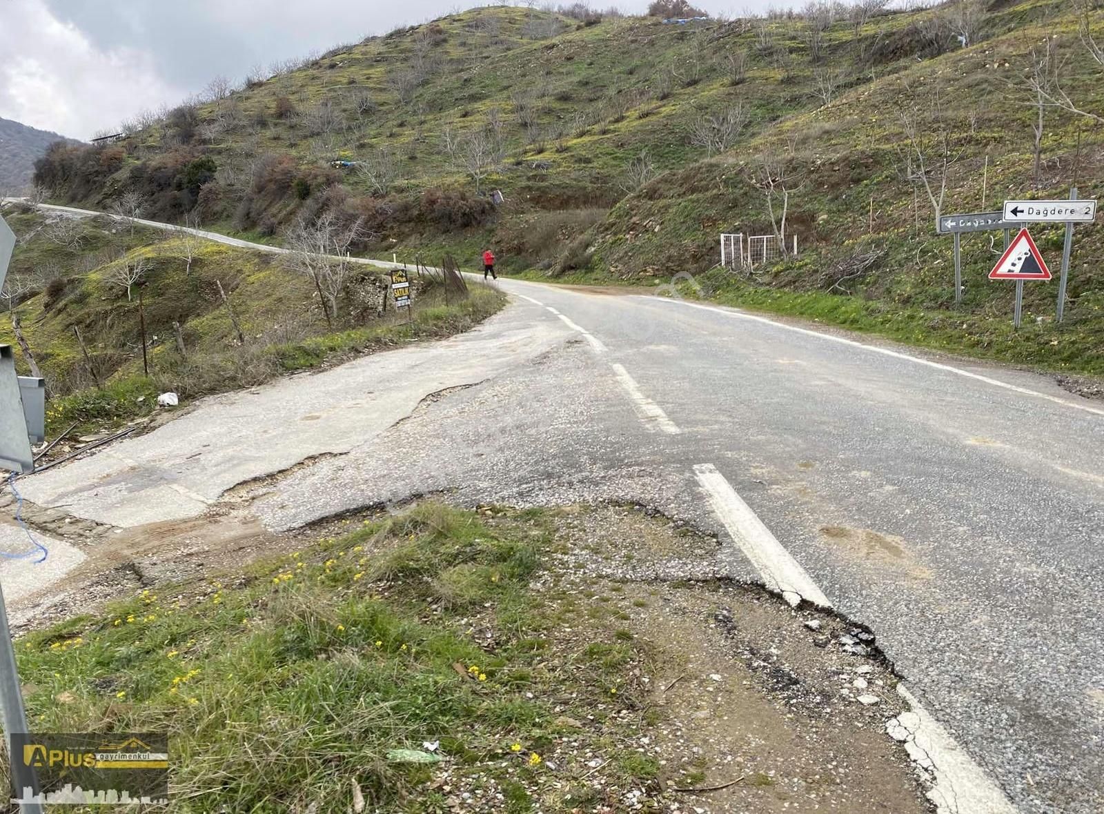 Tire Dağdere Köyü 23 Bin M2 Yola Sıfır Satılık İncir Bahçesi - Görsel 10