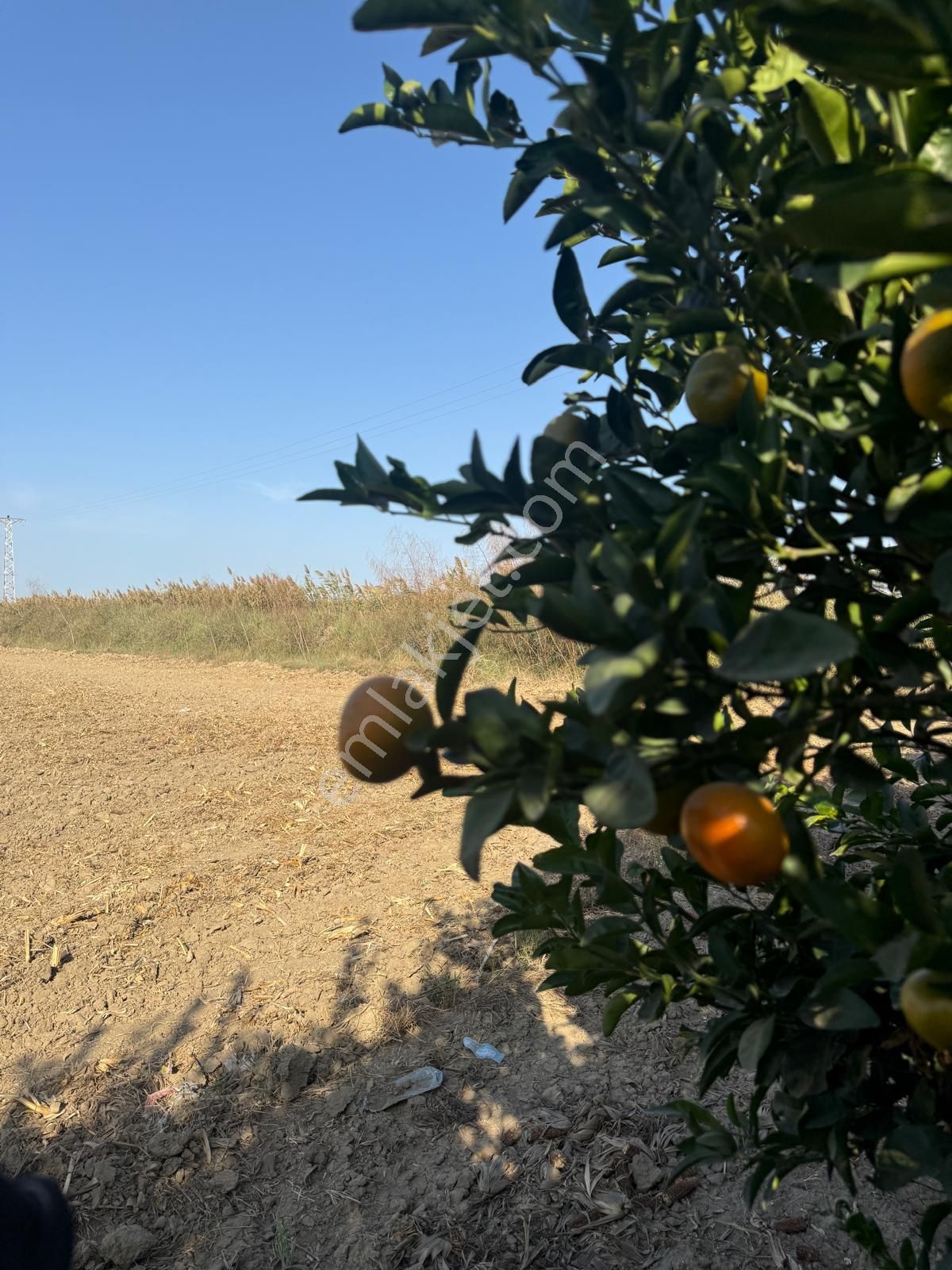 Çukurova Havalimanı’na 10 Dakika! Değerlenen Bölgede 13 Dönüm Yatırım Fırsatı - Görsel 5
