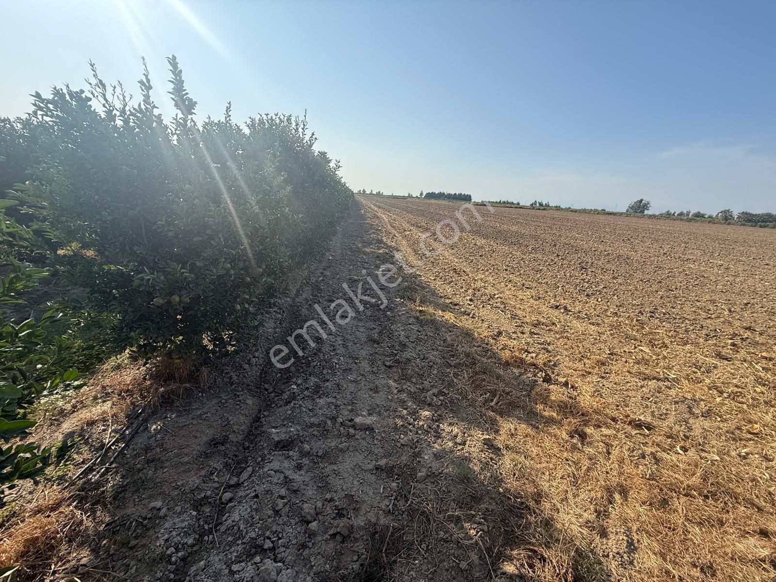 Çukurova Havalimanı’na 10 Dakika! Değerlenen Bölgede 13 Dönüm Yatırım Fırsatı