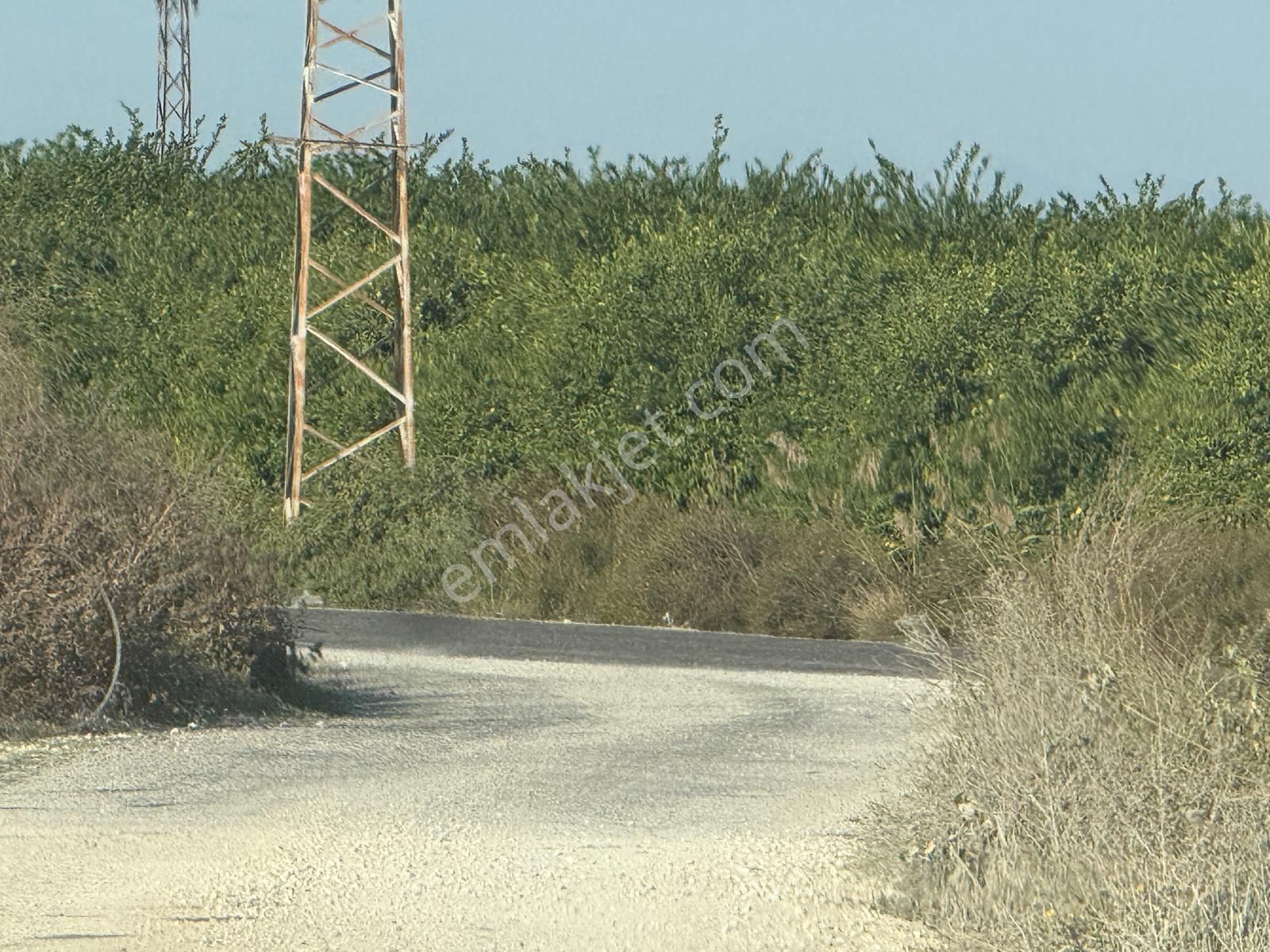 Çukurova Havalimanı’na 10 Dakika! Değerlenen Bölgede 13 Dönüm Yatırım Fırsatı - Görsel 13