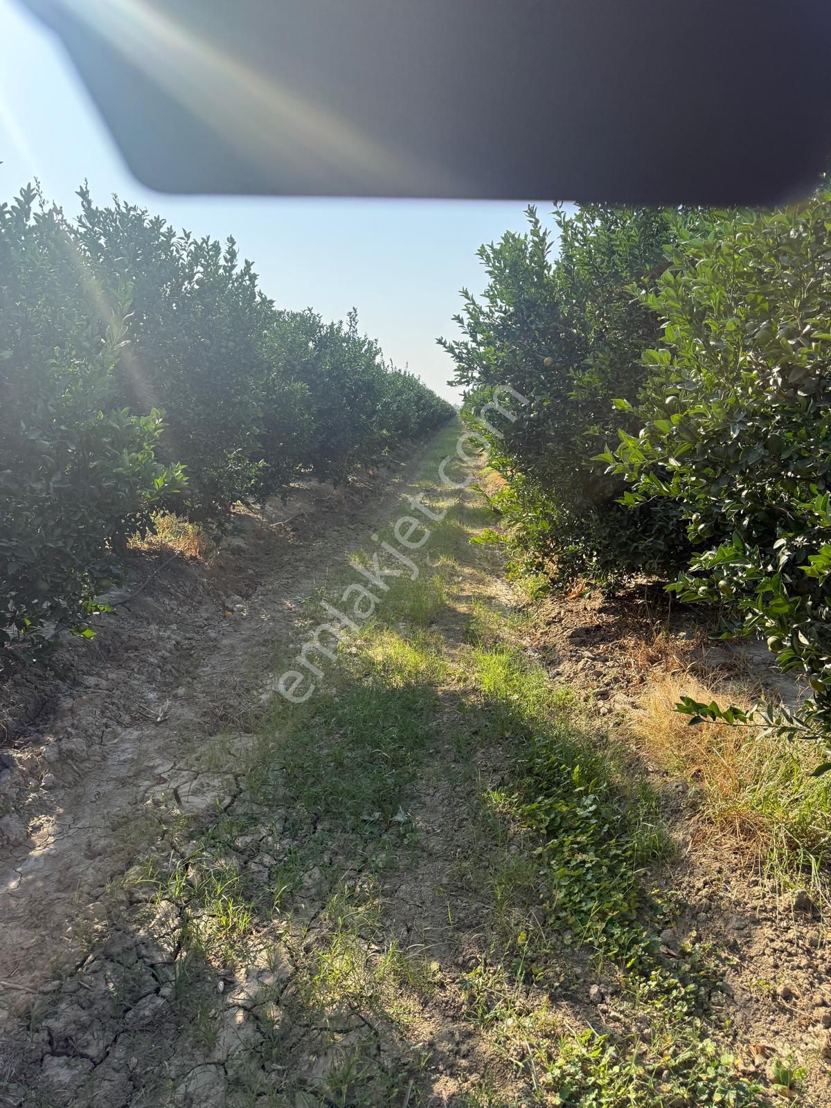 Çukurova Havalimanı’na 10 Dakika! Değerlenen Bölgede 13 Dönüm Yatırım Fırsatı - Görsel 2