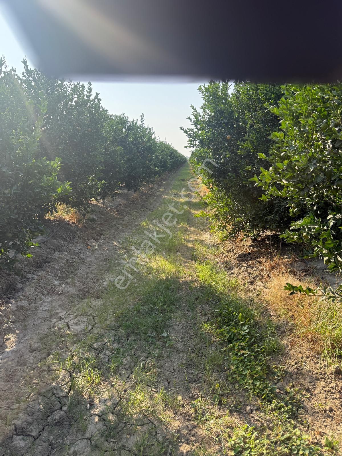 Çukurova Havalimanı’na 10 Dakika! Değerlenen Bölgede 13 Dönüm Yatırım Fırsatı - Görsel 10