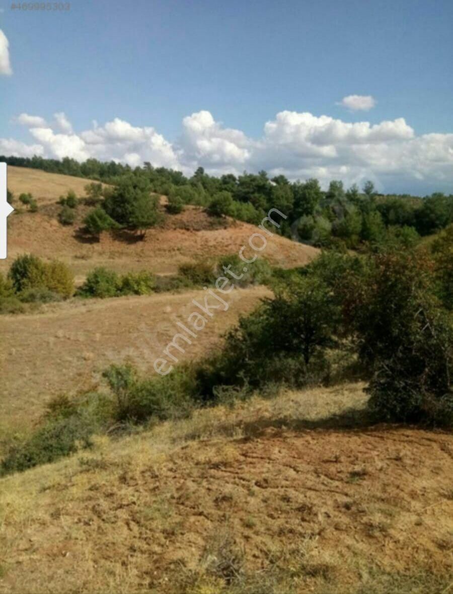 Sahibinden Acil Kelepir Arazi - Görsel 10